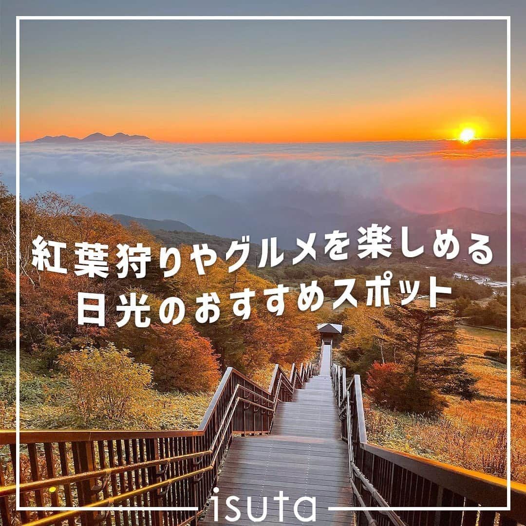 isutaのインスタグラム：「肌寒い日も増えてきて、最近の東京では最高気温が20度を下回る日もちらほら。  街を歩いていると、街路樹が“紅葉”を始めていたり、お店では秋のメニューが出ていたりと、秋の訪れを感じている人も多いのでは？🍁  今、紅葉の見頃を迎えている“日光”にフォーカスして、紅葉やグルメが楽しめるお出かけスポットをまとめてご紹介するよ◎  ①英国大使館別荘記念公園  ②天空回廊で見る紅葉「日光市霧降高原 キスゲ平園地」  ③小来川 山帰来  ④cafe talo @cafe_talo   ➄にほんかし雲IZU 日光店  ⑥NIKKO♡NASUのラスク屋さん @3939_rusk   ※お店の営業時間等は変更になる場合がございます。最新情報は公式HPなどをご確認ください。  photo by @s___mo.5 @sawady0502 @o128mg @_aya.mi @shoku_nikkidayo @aya._.2446  ✄————————✄  姉妹アカウント @i_am_isuta も更新中  isuta編集部の日常のひとコマや 取材の最新レポを発信しているよ️˖°  ほかにも、エディターが気になる カフェやファッション、コスメをご紹介.・* ぜひフォローしてね️  ✄————————✄  #isuta#isutapic#isutacafe#イスタ #日光#日光グルメ#日光旅行#日光カフェ #日光観光#日光ランチ#英国大使館別荘記念公園 #日光市霧降高原キスゲ平園地#小来川山帰来#cafetalo #にほんかし雲izu#NASUのラスク屋さん#NIKKONASUのラスク屋さん #紅葉スポット#紅葉シーズン#紅葉デート#紅葉狩り#紅葉が綺麗#紅葉巡り #そば活#蕎麦スタグラム#蕎麦好きな人と繋がりたい#ゆば#そっぽ焼き #ラスク#ジェラート好き」