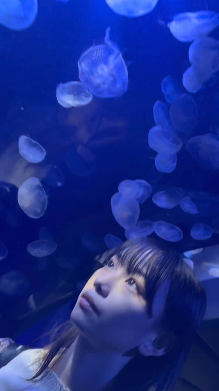 松本麗世のインスタグラム：「綺麗な落ち着く水族館 ずっとずっとここに居たい♡ ♡ ♡ 初のサンシャイン水族館に🫶🏻 小さい頃から水族館大好きだったので、久しぶり癒されました😽 ♡ #松本麗世#matsumotoreiyo#モデル#水族館#池袋#クラゲ#jk#サンシャイン水族館 #秋コーデ」