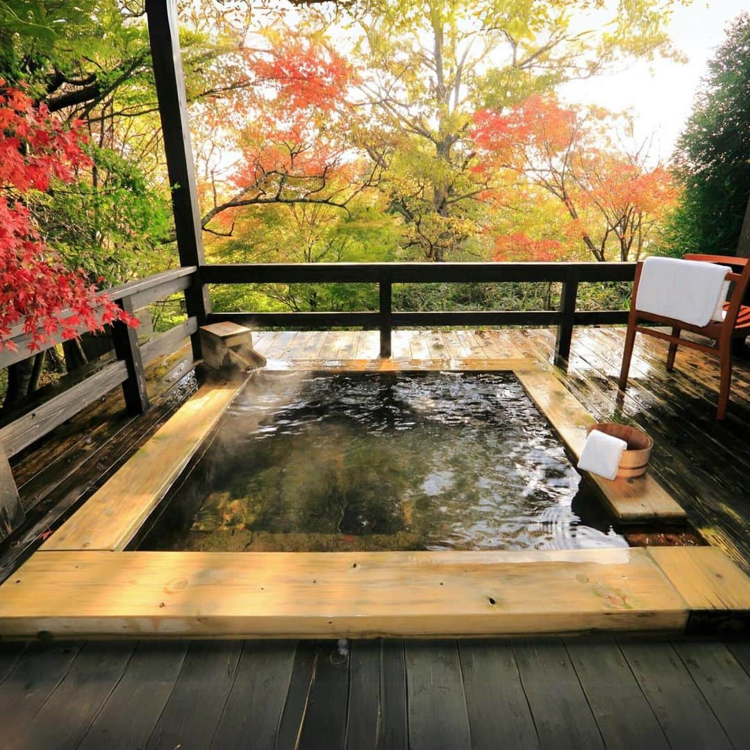 星野リゾートのインスタグラム：「🗣どんなシチュエーションで紅葉を楽しみたいですか？  木々や色鮮やかに染まる美しい季節が到来です！ 秋色の景色の中で愉しむ旅はいかがでしょうか？  🍁温泉で楽しむ #界阿蘇  🍁お庭で楽しむ #星のや京都  🍁渓流と楽しむ #奥入瀬渓流ホテル  🍁お寺で楽しむ #OMO3京都東寺  #星野リゾート #hoshinoreosrts #紅葉 #紅葉狩り #秋旅行 #温泉旅行」
