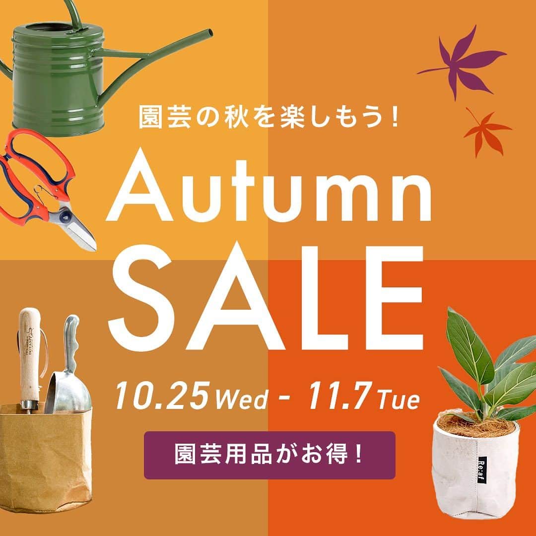 みどりで、つながる GreenSnapのインスタグラム：「園芸用品＆栽培キットがお買い得に！ Autumn SALE開催中  GreenSnapオリジナル商品の「サステナブルな鉢カバー Re:af® (リーフ)」などの植物を彩る鉢カバー・植木鉢や、植物を楽しく簡単に育てることができる栽培キット等がSALE販売中です。  ▼SALE会場はハイライトから  https://greensnap.co.jp/collections/engei_sale」