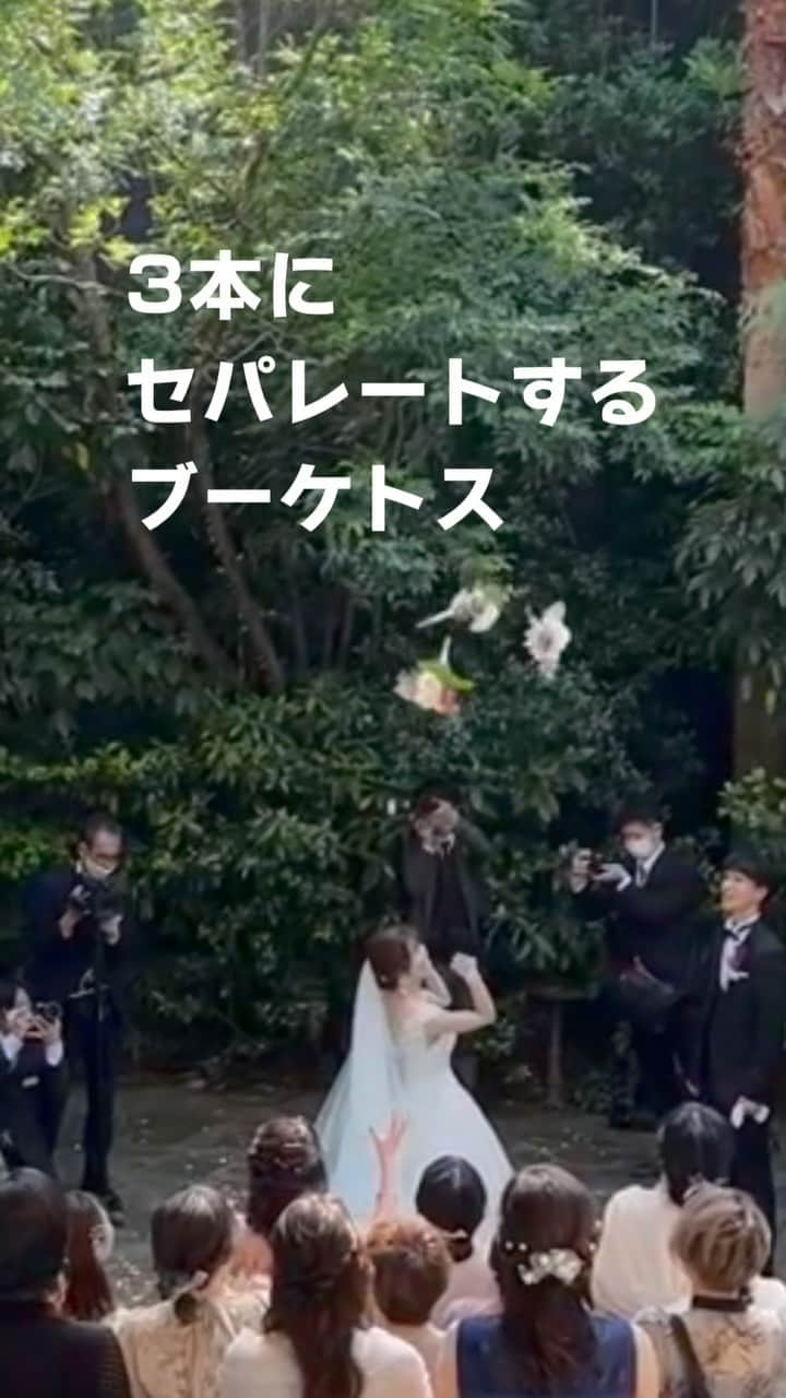 Wedding Park 公式のインスタグラム：「3本にセパレートするブーケトスの素敵アイディア💡  他にも結婚式アイデアが見たい方は、「ムビレポ」で検索してみてください🎥  そして、ムビレポの投稿も沢山お待ちしております！プロフィールのハイライト「ムビレポ」から🔗  ーーーーーー Thank you🎞 @t.wd55 さんのムビレポ https://www.weddingpark.net/movierepo/2160/  #プレ花嫁 #式場探し  #ウエパ #ウエディングパーク #ハナレポ #結婚式準備レポ #結婚式準備 #ブーケトス #セパレートブーケトス #ブーケトスアイディア ーーーーー」