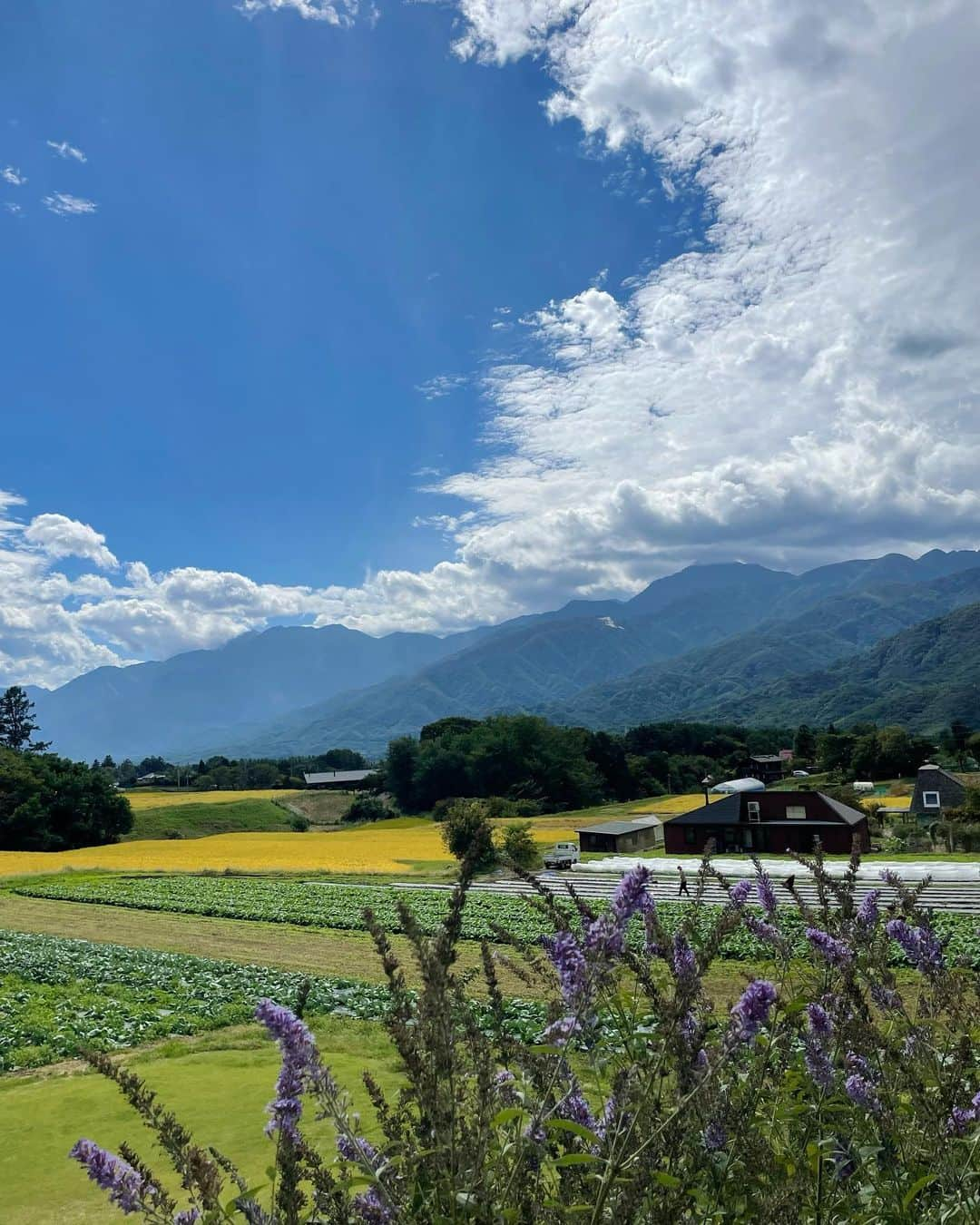 ステファニーさんのインスタグラム写真 - (ステファニーInstagram)「🌼🌿🍽⛰☕️ 八ヶ岳ツアー後編  1.2.3枚目 #ハーベストテラス八ヶ岳 @harvestterrace 大自然を感じられる絶景の中、目の前の大きな畑で採れた 新鮮なお野菜たちを使ったご飯が食べられるレストラン。 もちろん全部美味しかったし、お庭も素敵で気持ちよくて、思わず全力ジャンプショットです笑  4.5.6.7枚目 ゴミ拾いをしながらの登山 #株式会社八ヶ岳登山企画  登山しながらゴミを拾うという素敵な時間。 山が綺麗になって、心も綺麗になった中、温かいコーヒーと焼きマシュマロのサプライズにみんなで大喜び！ 至福の時間でした…！！  8.9枚目 #里山資源体験 (NPO法人自然とオオムラサキに親しむ会） 木で出来た手作りのアスレチックや楽器で遊んだり、 バードコールを作ったり自然の中で自然に触れながら 過ごせるなんとも贅沢な場所。 皆さんが楽しそうに作業をしていて、 愛がたくさん詰まった素敵な場所でした。 子供だけじゃなく私達大人も懐かしい気持ちになって 存分に楽しめました！  10枚目は最後に素敵な景色を。  八ヶ岳の旅、また絶対に来たいと思える素敵な時間でした。 人も、空気も、食事も、全てが最高であたたかくて、 家族も連れてまた遊びに行きたいなぁ〜。  #love #trip #travel #pr #八ヶ岳 #北杜市 #観光 #八ヶ岳観光」10月25日 19時35分 - steph_0928_