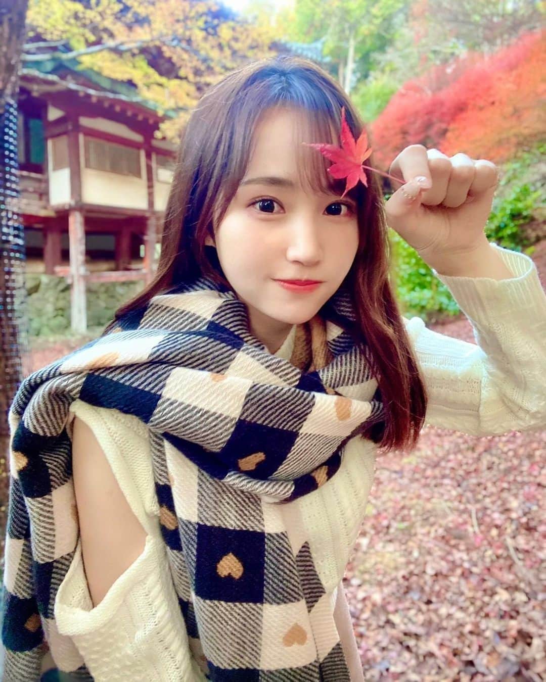 ぷーちゃんのインスタグラム：「🐶🍯  秋が一番好き🐿🌰🍂  今年もきれいな紅葉みたいな🍁  いつもサブスクの写真も見てくれてる方 ありがとうございます🤍  #関西サロンモデル#関西サロモ#関西フリーモデル#フリーモデル」