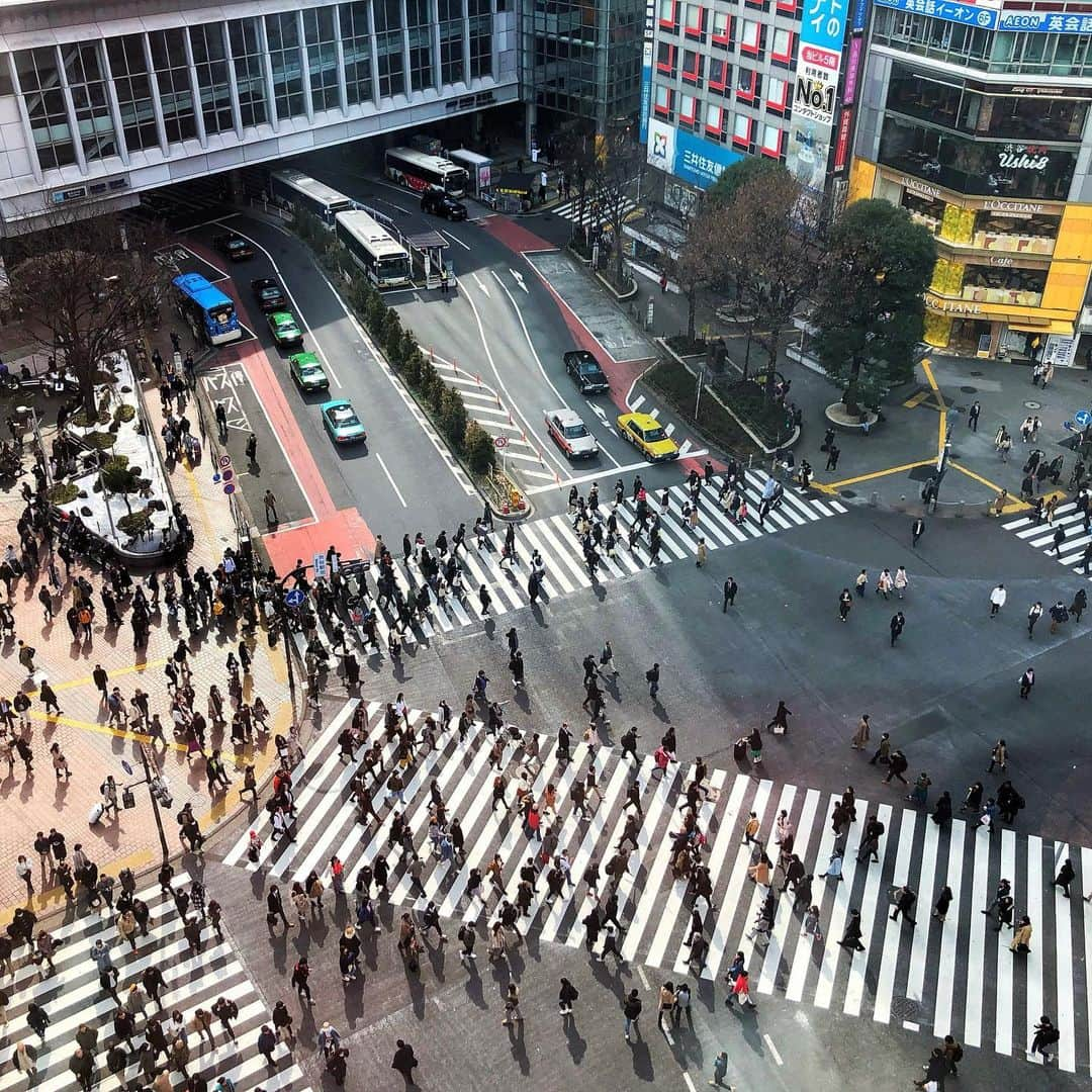 coneri 品川さんのインスタグラム写真 - (coneri 品川Instagram)「coneri渋谷店は、パイ×ディップの贅沢なラインナップ✨  非日常を求める、癒しを求める、 自己表現する、ただ通り過ぎる、 働く、海外から目指してくる・・・など。 それぞれの目的を持った人が集まる渋谷！  そんな様々な 「人」・「想い」・「文化」 「空気」・「時代」が交わるこの土地で、 自分らしい組み合わせが きっと見つかるパイ×ディップ。 coneri《渋谷スタイル》をお楽しみください☺️♪  ＝＝＝＝＝＝＝＝＝＝＝＝＝＝＝＝＝＝＝＝＝ coneri 渋谷店 〒150-0002 東京都渋谷区渋谷2丁目24番12号 渋谷スクランブルスクエア1F エキュートエディション  ＠coneri＿official」10月25日 20時37分 - coneri_official