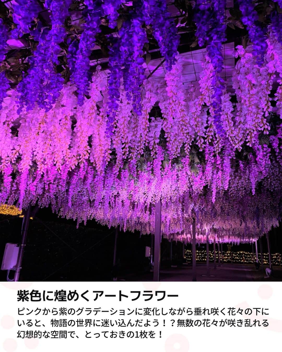 iko-yo（いこーよオフィシャル）さんのインスタグラム写真 - (iko-yo（いこーよオフィシャル）Instagram)「今回ピックアップしたのは「大規模イルミネーション！壮大な光の演出&コラボ企画も盛り沢山！」 @ikoyo_odekakeに他の投稿も！ ーーーーーーーーーーーーーーーーーー 📍 東京都品川区 【東京メガイルミ 】 #東京メガイルミ @tokyomegaillumi  東京都品川区の大井競馬場で、2023年11月11日（土）〜2024年1月8日（月・祝）のうち競馬が行われない日など42日間にわたって、毎年人気の大規模イルミネーション「東京メガイルミ」が開催されます！ 競馬場という広大な敷地を活かしたダイナミックなイルミネーション。「噴水ショー」や「オーロラ演出」、長さ100mの「光のトンネル」などさまざまな光のアートが表れます。 競馬場ならではの企画として「ミニチュアホース＆ポニーとのふれあい」や「噴水×誘導馬のショー」など、お馬さんとふれあえるイベントも充実しています！「ウマ娘 プリティーダービー」とのコラボや、子供たちに大人気の「ロディ」に乗ってジョッキー気分を味わえるコラボイベントも実施されます！  ※2023年10月25日時点の情報です。最新の情報は公式HPをご確認下さい。　 ーーーーーーーーーーーーーーーーーーー #いこーよ #お出かけ #おでかけ #子連れ旅行#お出かけスポット #子連れ #こどものいる暮らし #子連れスポット #いこーよお出かけ部#東京観光#東京旅行#東京おすすめ#人気スポット#おすすめスポット#親子連れにおすすめ#イルミネーション#競馬場#馬#乗馬#大規模#プロジェクションマッピング#噴水#広場#ポニー#ウマ娘#ロディ」10月25日 20時40分 - ikoyo_odekake