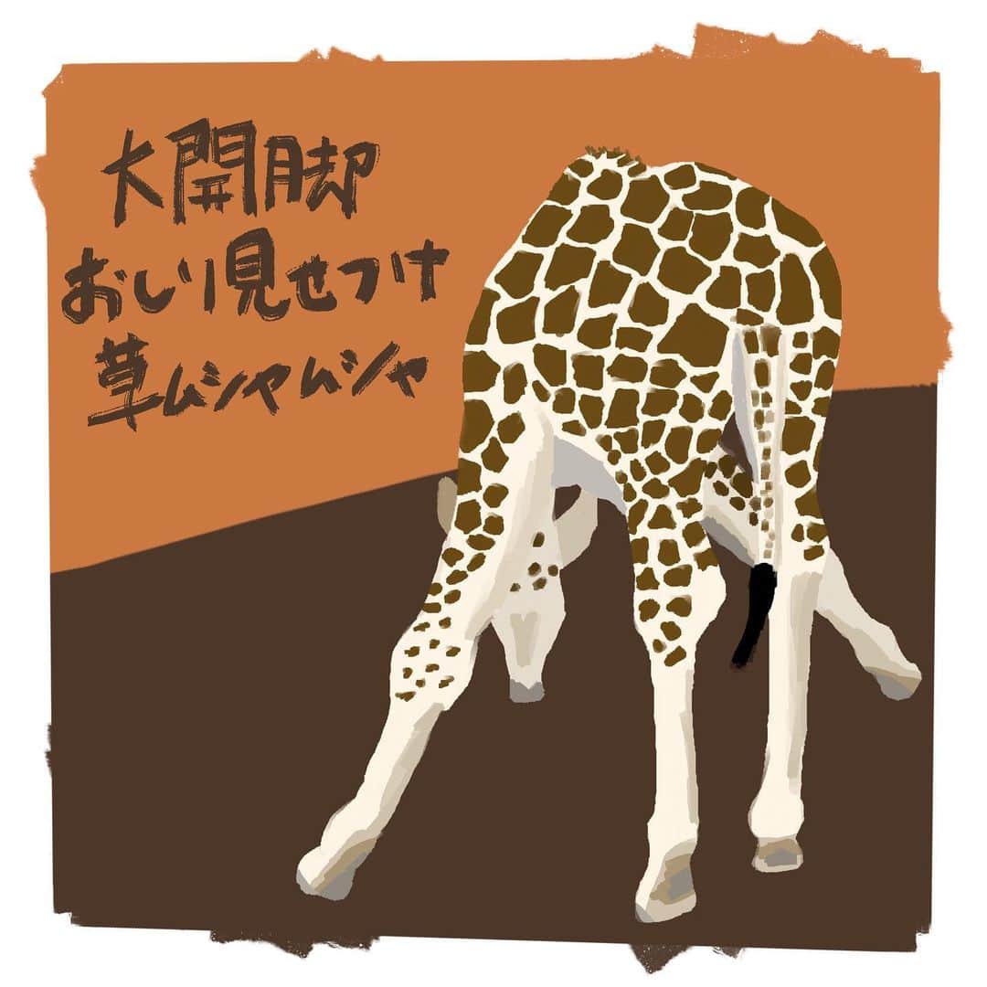 竹内一希さんのインスタグラム写真 - (竹内一希Instagram)「先日、多摩動物公園に行ってきましてね。 せっかくなので観てきた動物たちのイラストを描いていこうと思っています。 まずはキリンですね。 同じ首が長い生き物として挨拶をしなくてはいけません。 キリンは動物園に来たなあと思わせてくれますね。  #多摩動物公園 #キリン  #イラスト」10月25日 20時49分 - pitchertakeuchi