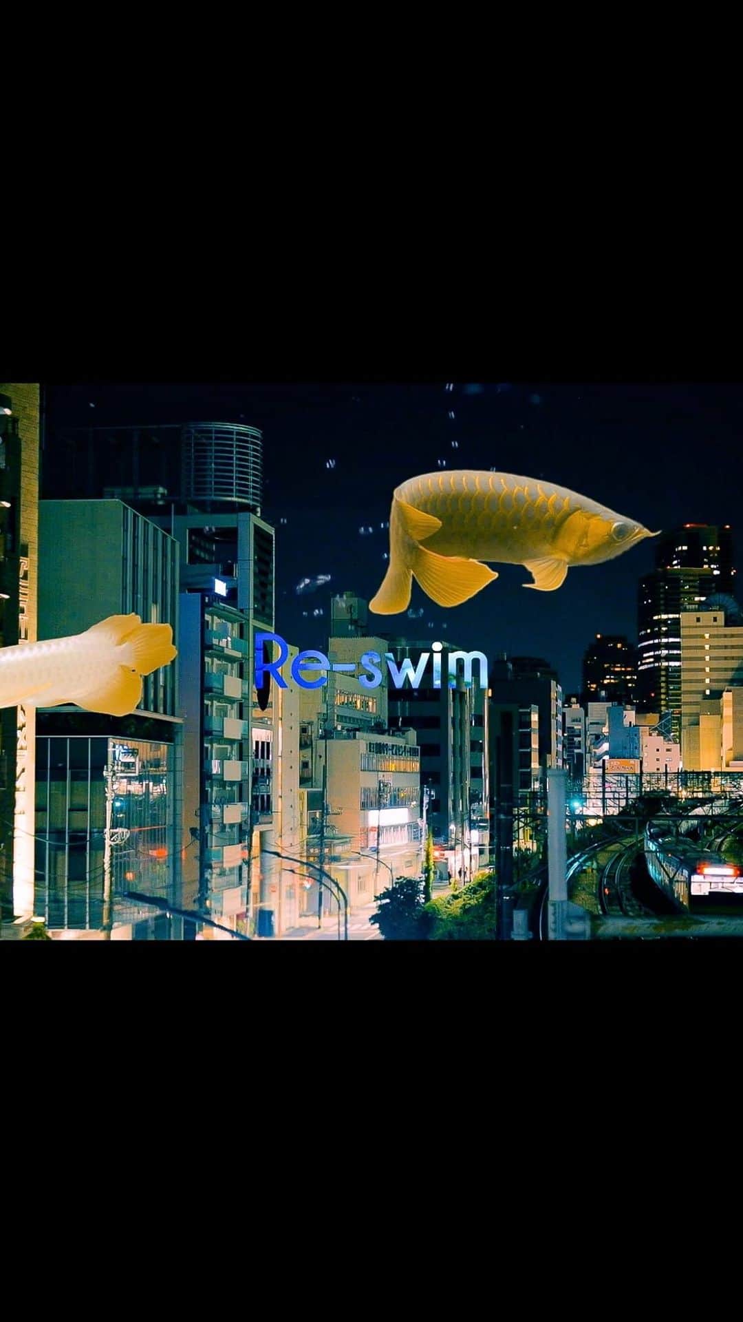04 Limited Sazabysのインスタグラム：「Re-Birthより「Re-swim」の MVを公開しました🐠🐡🐟  ▶️YouTube https://youtu.be/w5wrW1usPVY」
