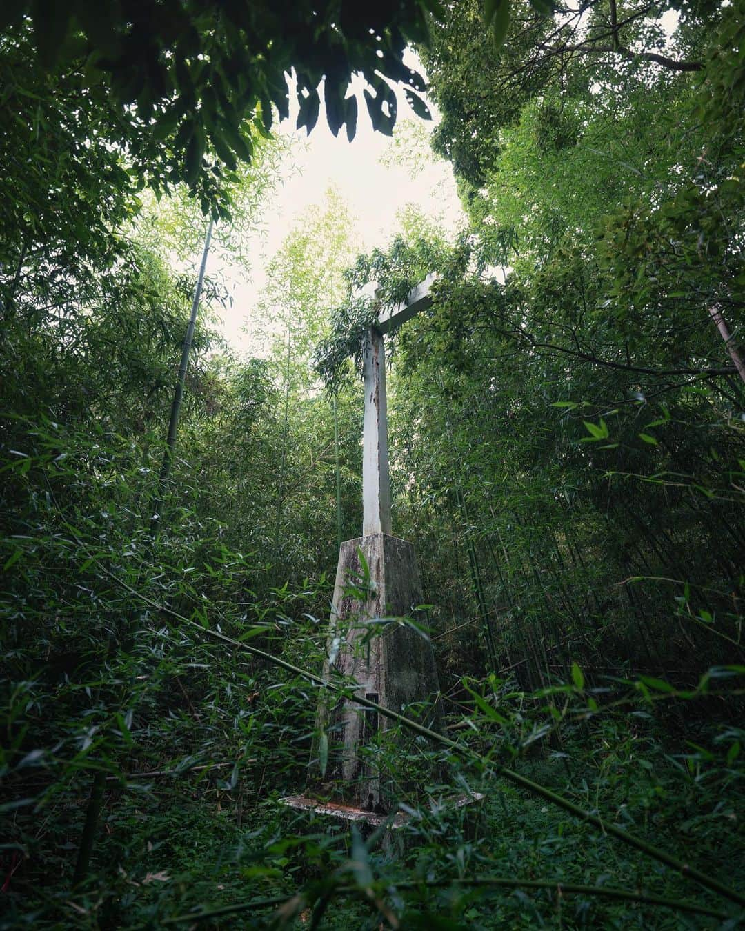 啝 （わ）のインスタグラム：「島原半島の山中に残る忘れ去られた信仰の痕跡  Traces of a Forgotten Faith Remain in the Mountains of the Shimabara Peninsula」