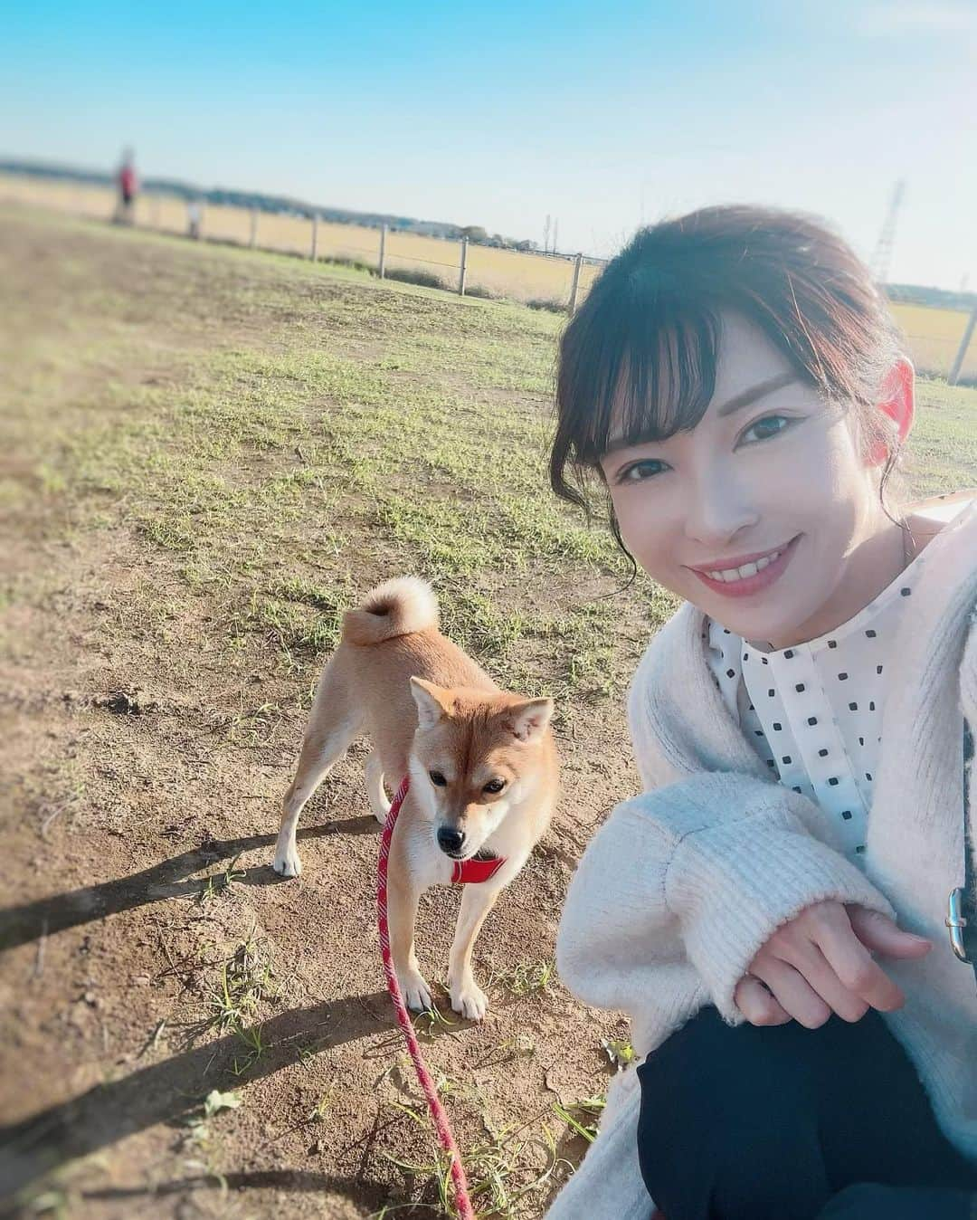 山岸愛梨さんのインスタグラム写真 - (山岸愛梨Instagram)「ちくわ（豆柴）を連れてロング散歩🐕 車に乗って近くまで連れて行き、 一緒にコスモス鑑賞してきました🌸  初めての遠出で緊張気味だったので、 人の多い場所は避けて遠くから。  ちくちゃん、またお出かけしようね😌🤍  #犬のいる暮らし #犬のいる生活　#柴犬　#豆柴　 #コスモス #コスモス畑 #秋桜」10月25日 22時01分 - airi_yamagishi