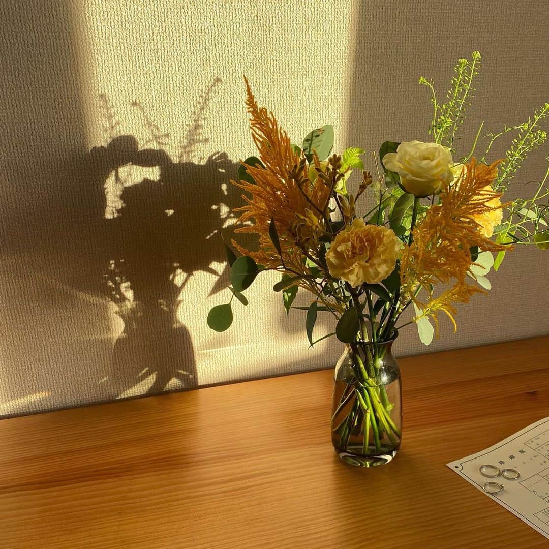 mar.ayaのインスタグラム：「🍂🍃🌾 ストーリーズにはあげてましたが、ちょっと前、夏と秋の間に、結婚して引越しました🪴 おっとりおおらかで、でも時々こだわり強めの佑さん。 佑さんと結婚できて人生の運半分くらい使ったと思う。 仲良く、なるだけ平和に暮らしてゆきます🏠」