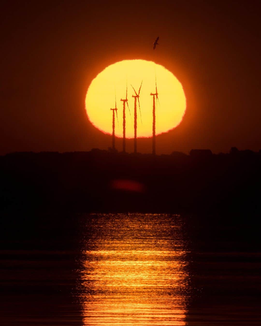Sigma Corp Of America（シグマ）のインスタグラム：「A beautiful autumn sunrise along Lake Winnebago, south of Oshkosh, Wisconsin.  SIGMA Ambassador @jim_koepnick writes, "Had the idea of the rising sun with the wind generators for a few months, but was waiting for the sun to rise more to the south."  Shot at 800mm with the SIGMA fp + SIGMA 100-400mm F5-6.3 DG DN OS | C lens with the SIGMA 2X teleconverter.   Right now, we're offering $50 off the 100-400mm F5-6.3 DG DN OS | C & $400 off the SIGMA fp. Head over to the link in our bio or visit bit.ly/sigma-savings-oct2023-ig to shop!   #SIGMA #SIGMAphoto #sunrise #telephotolens #telephotography #sigmalens #zoomlens #sigmafp #sigmacontemporary #sigmadgdn #mirrorlessphotography #sigma100400mmcontemporary」