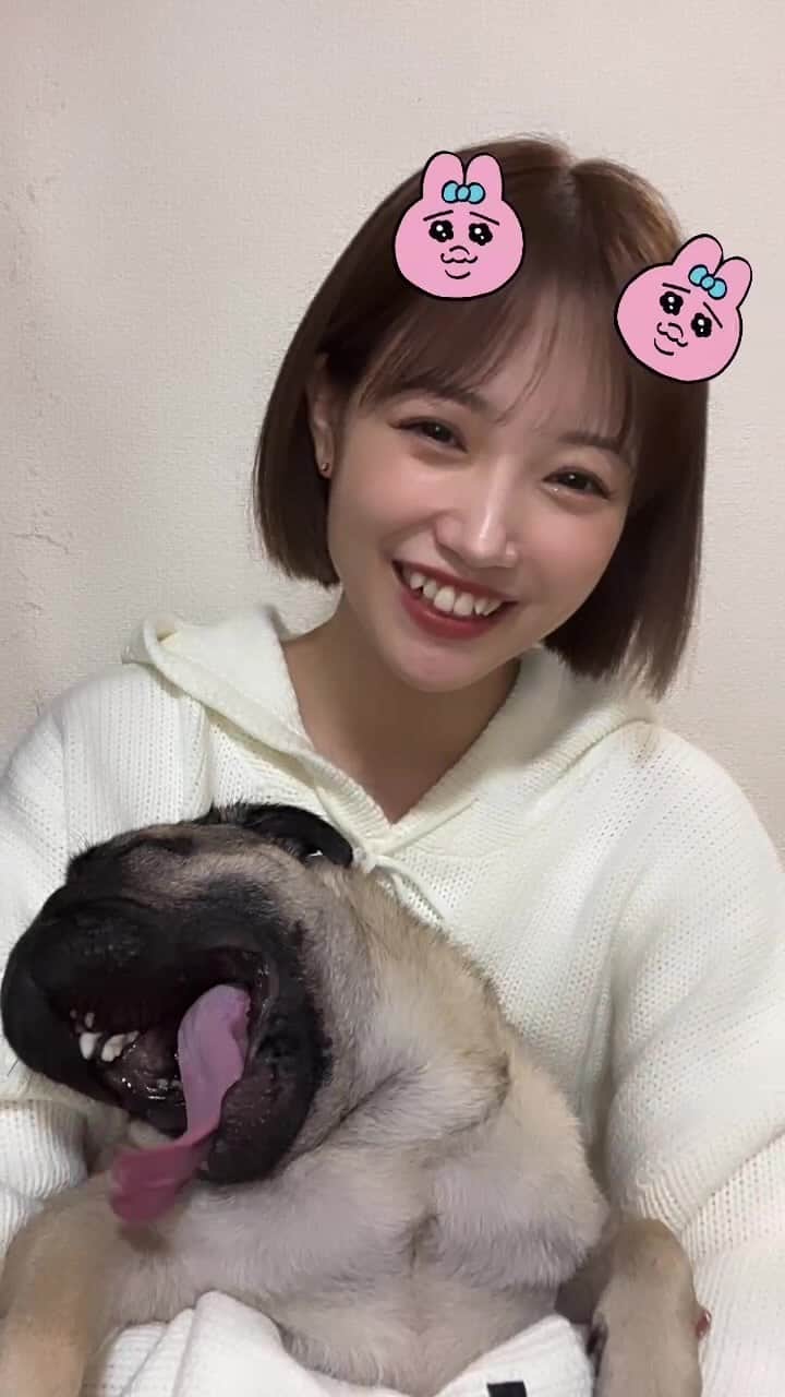 のインスタグラム：「たるとと一緒に雑談LIVE」