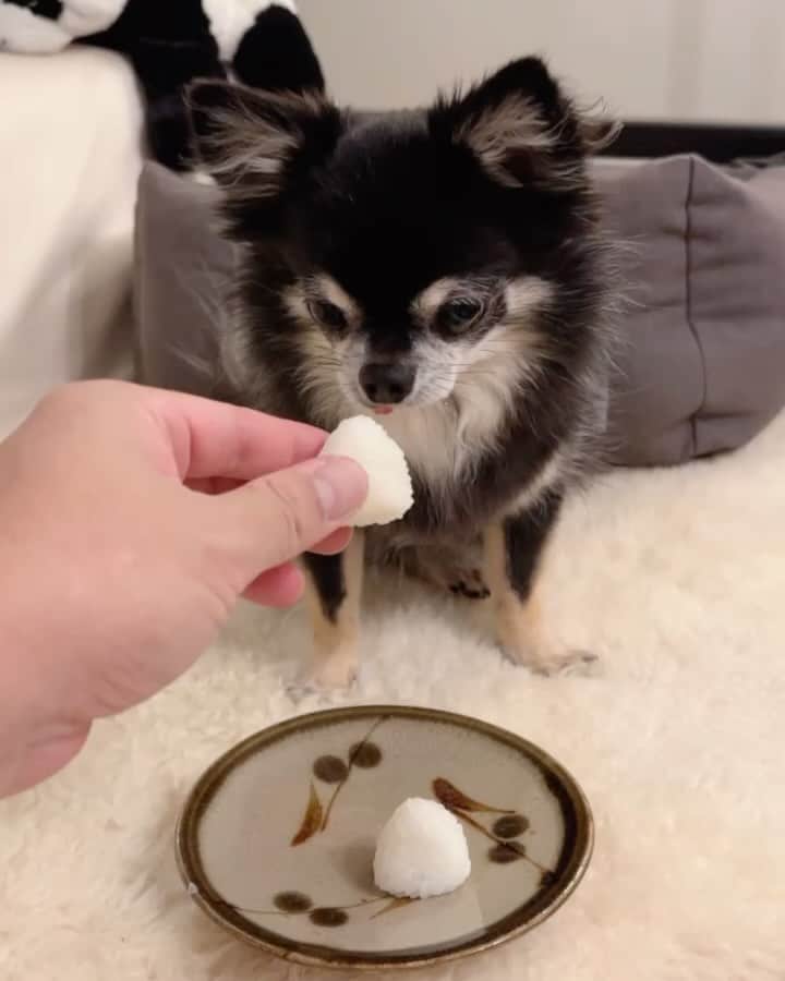 中倉隆道のインスタグラム