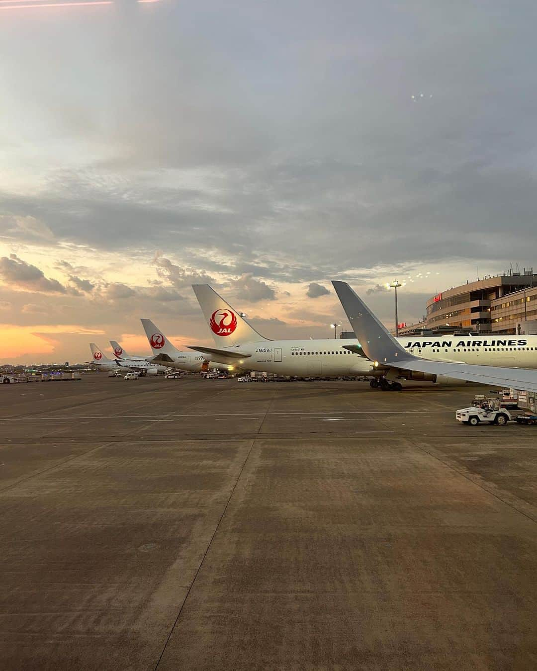 杉山明子さんのインスタグラム写真 - (杉山明子Instagram)「飛行機が好きすぎる🩷 離陸する時の感じと もこもこした雲見るのが好き  窓際からずっと見てたら 反対側が夕日！ いいなーって首伸ばしてたら ぐーーんって曲がって 夕日がこっちに来た！！  夕日と富士山✨ 最高のコンビネーション  #飛行機　#富士山　#雲　#飛行機好きな人と繋がりたい #夕日  #夕焼け  #sunset  #夕日好きな人と繋がりたい  #空好き  #空好きな人と繋がりたい  #雲好き  #雲好きな人と繋がりたい  #空から見る雲が好き　#jal  #空の旅  #飛行機が好き  #空が好き」10月25日 22時47分 - akikopeanut