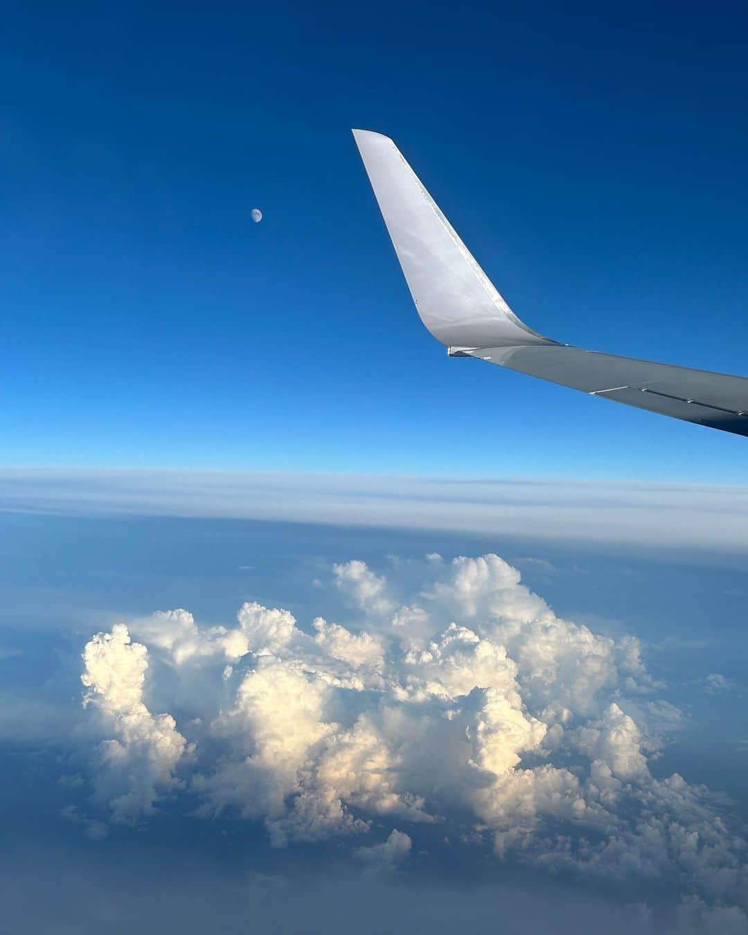 杉山明子さんのインスタグラム写真 - (杉山明子Instagram)「飛行機が好きすぎる🩷 離陸する時の感じと もこもこした雲見るのが好き  窓際からずっと見てたら 反対側が夕日！ いいなーって首伸ばしてたら ぐーーんって曲がって 夕日がこっちに来た！！  夕日と富士山✨ 最高のコンビネーション  #飛行機　#富士山　#雲　#飛行機好きな人と繋がりたい #夕日  #夕焼け  #sunset  #夕日好きな人と繋がりたい  #空好き  #空好きな人と繋がりたい  #雲好き  #雲好きな人と繋がりたい  #空から見る雲が好き　#jal  #空の旅  #飛行機が好き  #空が好き」10月25日 22時47分 - akikopeanut