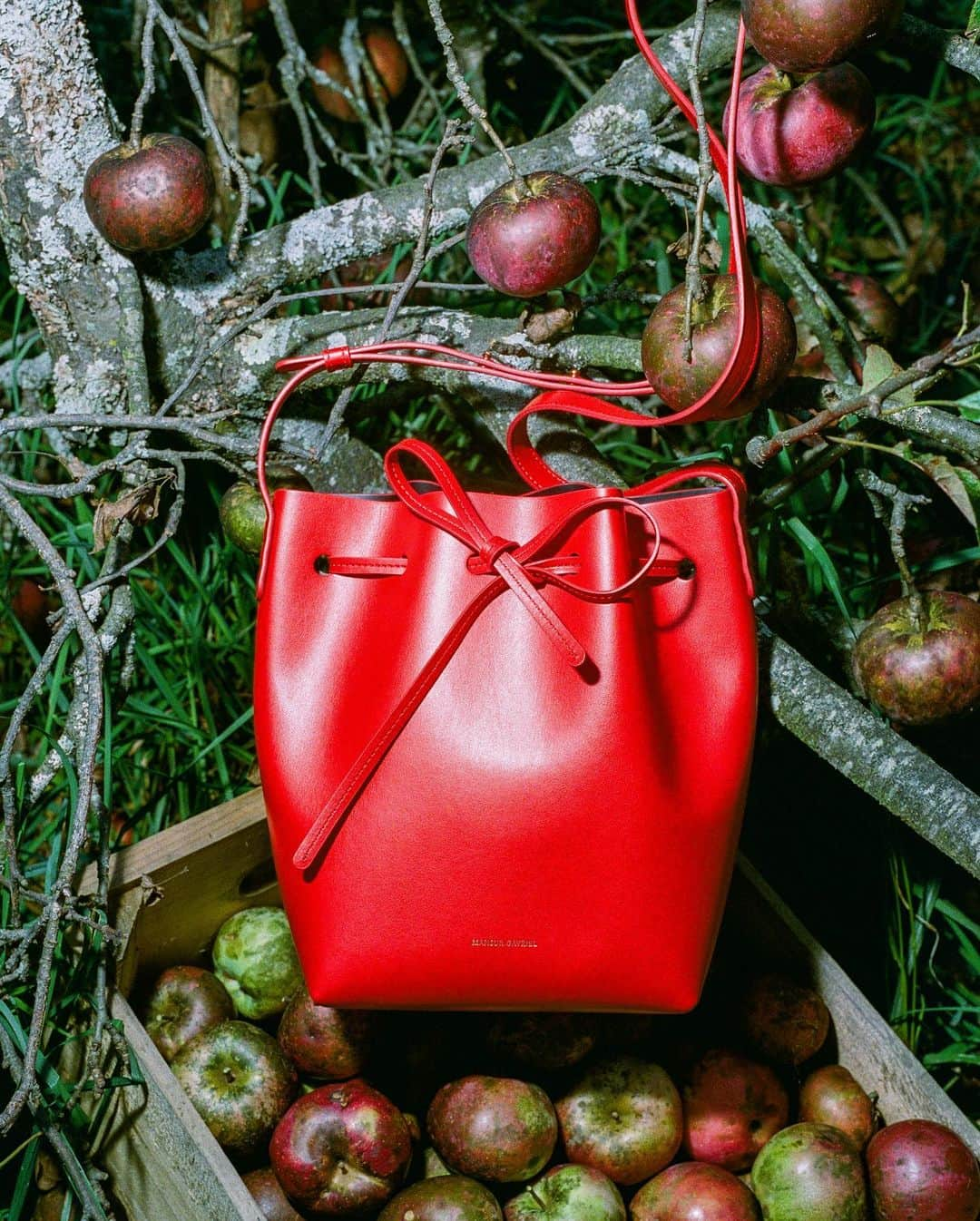 マンサー ガブリエルさんのインスタグラム写真 - (マンサー ガブリエルInstagram)「MG Apple Mini Bucket in Mela/Black 🍎 Photographed by @pomme_william for MG #mansurgavriel」10月25日 23時06分 - mansurgavriel