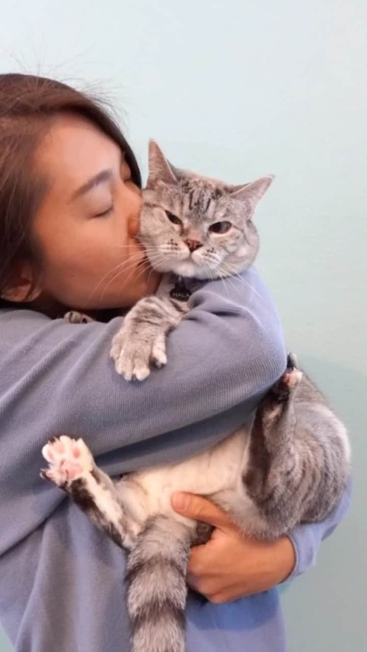 nala_catのインスタグラム：「LOVE ❤️🥰  #love #meow #cute #catsofinstagram #lovenala #lovenalaco」