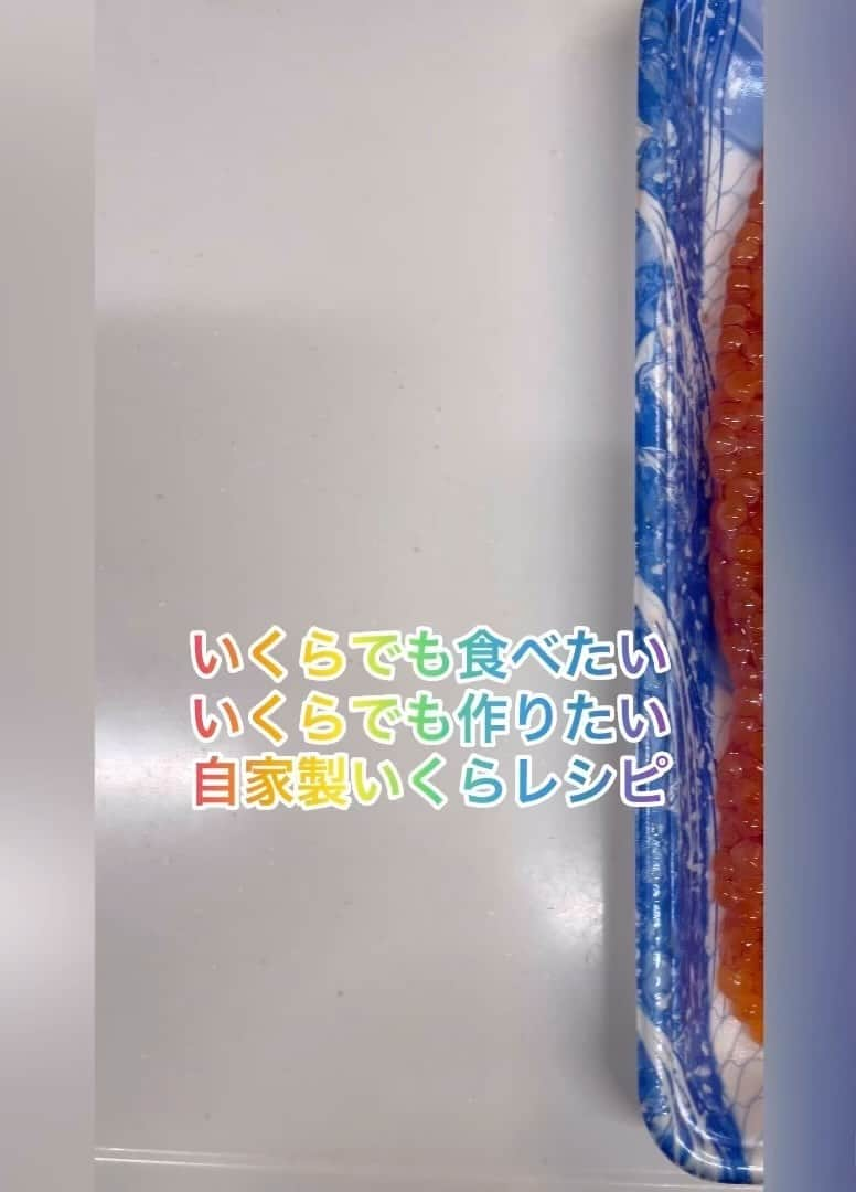 クック井上。のインスタグラム：「／ 今年はみんなのアイドル「いくら」の材料 「筋子」がめちゃ安いからやってみてよー ＼  いくらでも食べたい いくらでも作りたい 自家製いくらレシピ  🐟🐟🐟作り方🐟🐟🐟  筋子の裂け目に指入れて　 ひろげて軽くほぐしたら  お塩をたくさんふりかけて そのまま4,5分置きましょう  ここに熱湯かけちゃうよ 煮えたりしません大丈夫  お箸でグルグル掻き回し あーら不思議血合いが取れた  ザルでよごれたお湯捨てて お水で綺麗に流しましょ  白くなっても心配ご無用 更に汚れを綺麗に取って  多少の薄皮気にせずに 数分ザルで水気を切ろう  色がきちんと戻ったら 綺麗な容器に移しましょ  煮切った味醂・酒・醤油 又はめんつゆ回しかけ  数時間から一昼夜 漬け汁しっかり馴染ませたなら 自家製いくらの完成よ  いくらでも食べられる いくらでも作りたい  さぁ作りましょうプチプチで キラキラ光ったイクラちゃん  🐟🐟🐟材料🐟🐟🐟  生筋子…300g 塩…大さじ2 熱湯…適量(軽くほぐした生筋子がしっかりたっぷり浸かる量) 漬け汁…お好きなレシピで(3倍濃縮のめんつゆなら70mL程度)  🐟🐟🐟注意点🐟🐟🐟  ※作る量によって各材料・調味料を2倍、3倍にしてください。 ※内閣府 食品安全委員会のHP https://www.fsc.go.jp/ に「アニサキスは60 °Cの熱処理で1分、 70 °C以上では瞬時に死滅します。 また 、冷凍処理により感染性が失わ れるので、-20 °C以下で24時間 以上冷凍することが有効です。」とあるので、心配な方は熱湯を注いだ後に温度を計るか、冷凍するなどしてください。 ※熱湯を注ぐ→箸で血合いを取る→ザルにあげて水をかける工程は長くても1分以下にしてください。(30秒くらいを推奨します) ※熱湯をかけても失敗した事はありませんが、あくまで自己責任でお試しください。  #自家製いくら #いくら #いくらの醤油漬け #ご馳走 #秋 #秋の味覚 #旬 #旬の食材 #筋子 #生筋子 #魚卵 #おうち時間 #おうちご飯 #おうちごはん #おうち居酒屋 #家飲み #飯テロ #レシピ #簡単レシピ #料理 #野菜ソムリエ #アスリート #フードマイスター #フードコーディネータ #食育インストラクター #bbqインストラクター #こども成育インストラクター #料理男子 #料理芸人 #クック井上。」