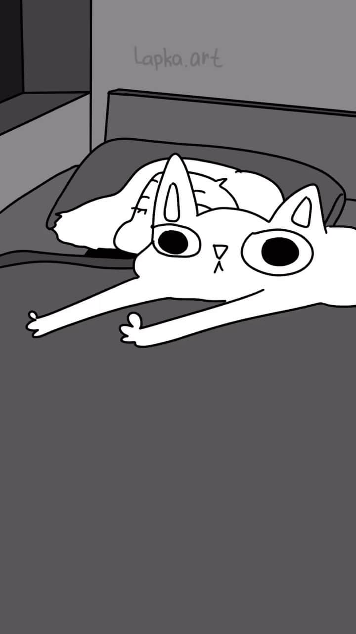 Aww Clubのインスタグラム：「🔊My cats at 3:00am  @lalka_lapka  #meowed #cutecat #cat #lalkalapka #webtoon #animation #mycats」