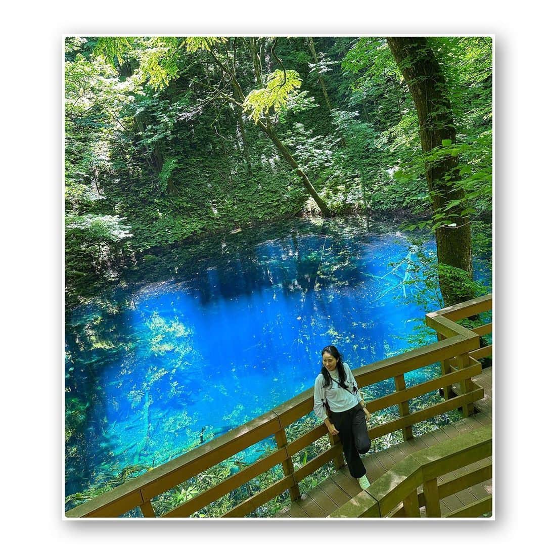 宇田恵菜のインスタグラム：「Akita Trip 6月の秋田青森旅行ログ  秋田と青森間をつなぐ、リゾートしらかみ。 途中下車をして、白神山地の青池に行きました！！ 加工なしで本当にこの色。透き通りすぎてて、魚が泳いでいるのが見えるくらい。 歩いててくてく森の中を下り、名水を使った抹茶を絶景の中いただく。 森の中の湖の横にあるご飯屋さんでお昼を食べ、またしらかみに乗り、今回のお宿の不老不死温泉に行きました！  なんと混浴かつ大海原の横にひょうたんの形の温泉。 絶景での露天温泉は温泉好きからしたら最高。 晩御飯もこれでもか！！てぐらい豪華で、夕日が沈むのをみながら食べれました☺️ -—————————— #casting  #actress #shortfilm #キャスティング  #役者  #filmingcrew #filming #撮影中 #撮影クルー #leadactress #女優 #actresslife #スチール撮影 #黒髪 #blackhair 　#愛媛出身 #不動産女子 #japaneseactress  #秋田旅行　#秋田観光　#リゾートしらかみ　#リゾートしらかみくまげら #リゾートしらかみ橅 #リゾートしらかみ青池 #青池　#不老不死温泉」