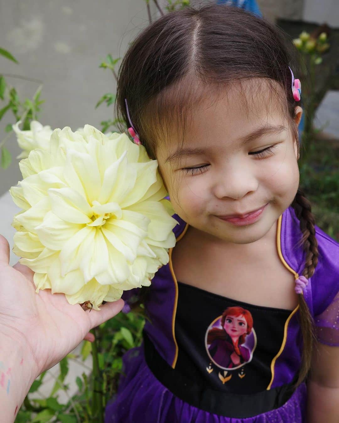 アン・カーティスのインスタグラム：「Dahlia 🌸 We are attempting the impossible by planting our own little Dahlia garden. Mum @carmcurtissmith I need some green thumb guidance? Anyone else have any tips how I can make them survive in the metro? 🌼 @erwan」