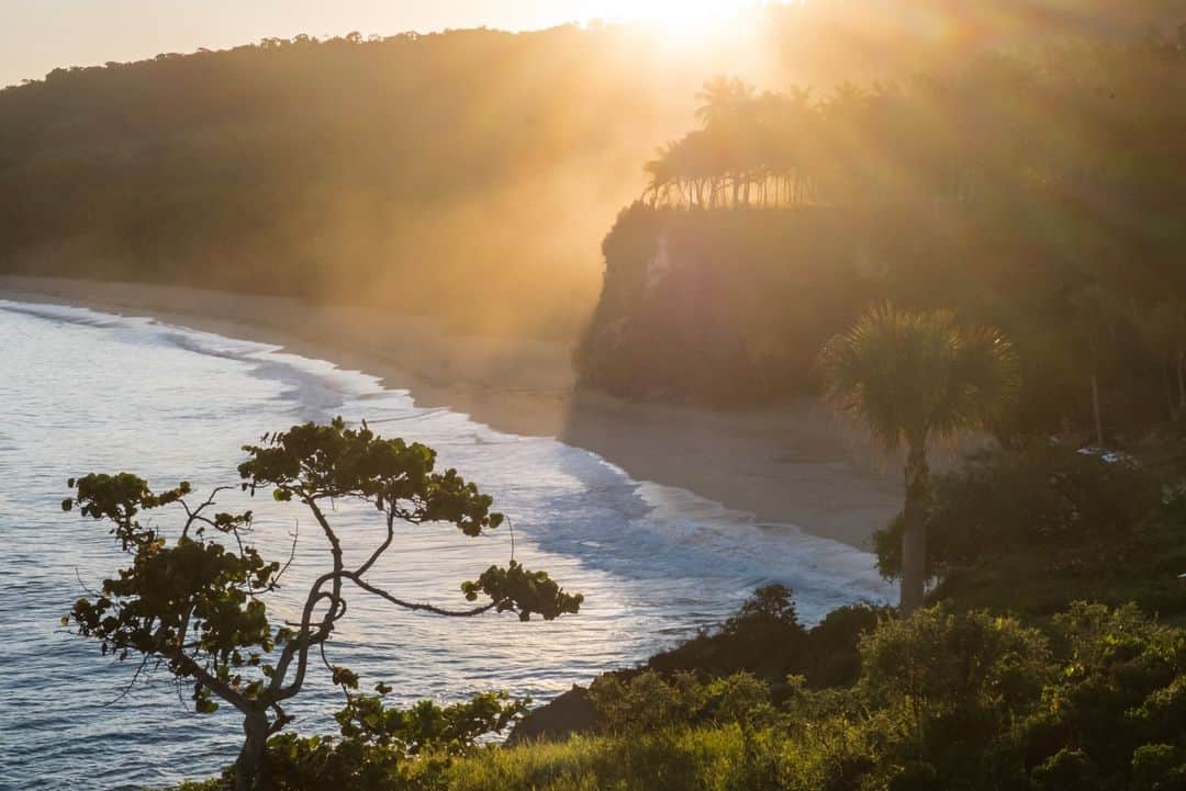 National Geographic Travelのインスタグラム：「Photo by @francescolastrucci | The first light of day makes its way through the lush vegetation of Playa Grande on the Dominican Republic’s vibrant northeast coast, where trade and pirates made history. The clear waters lapping the golden sand carry tales of a buried treasure yet to be discovered.   Follow me @francescolastrucci for more places, daily life, and stories from around the world.」