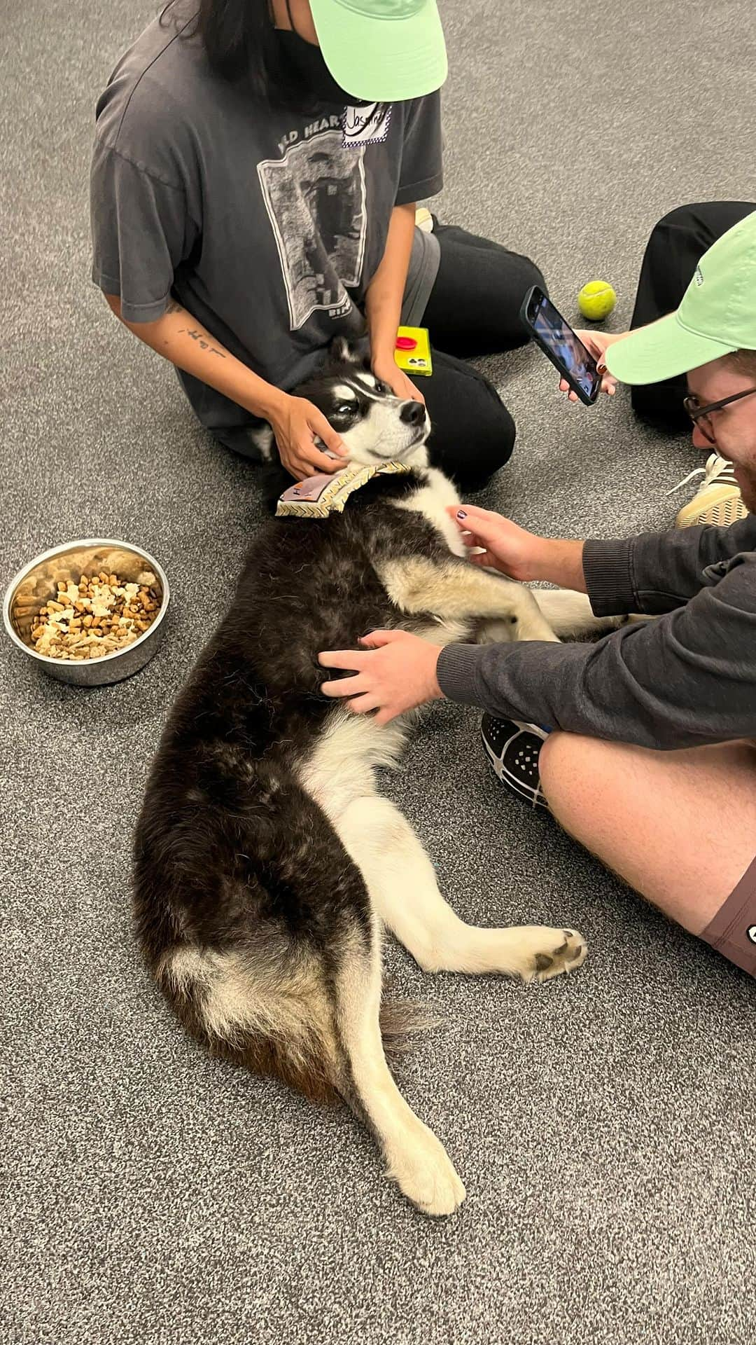 JEN ATKINのインスタグラム：「3.3 million dogs enter the shelter system & 670,000 are EUTHANIZED annually. Team @mane_____ @maneaddicts spent the day @wagsandwalks as apart of our Paws initiative to team build while giving these pups some love! They rescue dogs of all breeds, sizes, ages + love pit bulls.  They’ve saved 11,000 dogs since inception and have a unique family-friendly foster and adoption program.  I got to see the kennel we donated in honor of our Chewy. Thank you @lesleyzipkinbrog @ericaroslyn and the angels that do this work. I ended up bringing Rubix home so if anyone wants a handsome old man dm me! 🫶🏽❤️🐾」