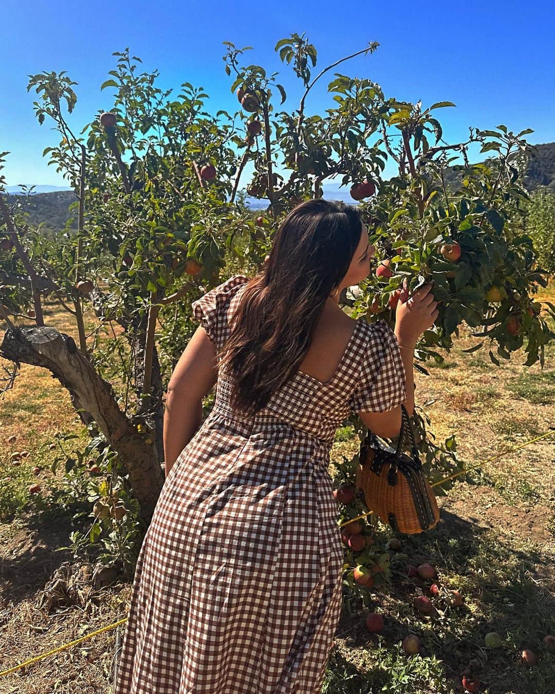 ベラ・ゴールデンさんのインスタグラム写真 - (ベラ・ゴールデンInstagram)「my favorite fall tradition: apple picking ofc  🍎🧸🍂🤎🥧🍁☕️💌✨♥️」10月26日 2時42分 - bellaagolden