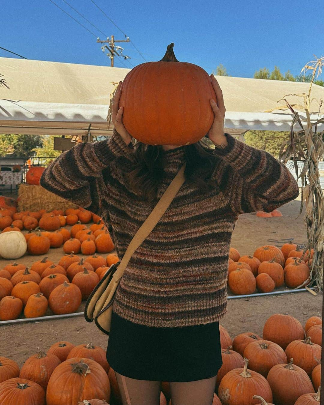 Acacia Brinleyさんのインスタグラム写真 - (Acacia BrinleyInstagram)「Pumpy-umpy-umpkin, You’re my sweetie pie. 🎃」10月26日 2時59分 - acaciakersey