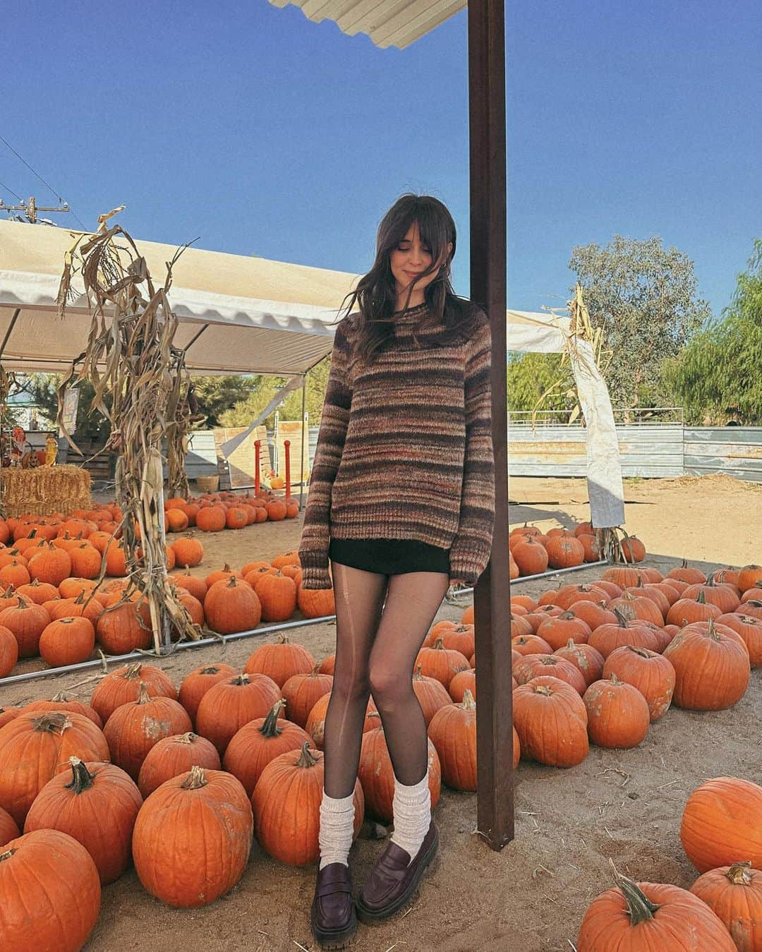 Acacia Brinleyのインスタグラム：「Pumpy-umpy-umpkin, You’re my sweetie pie. 🎃」