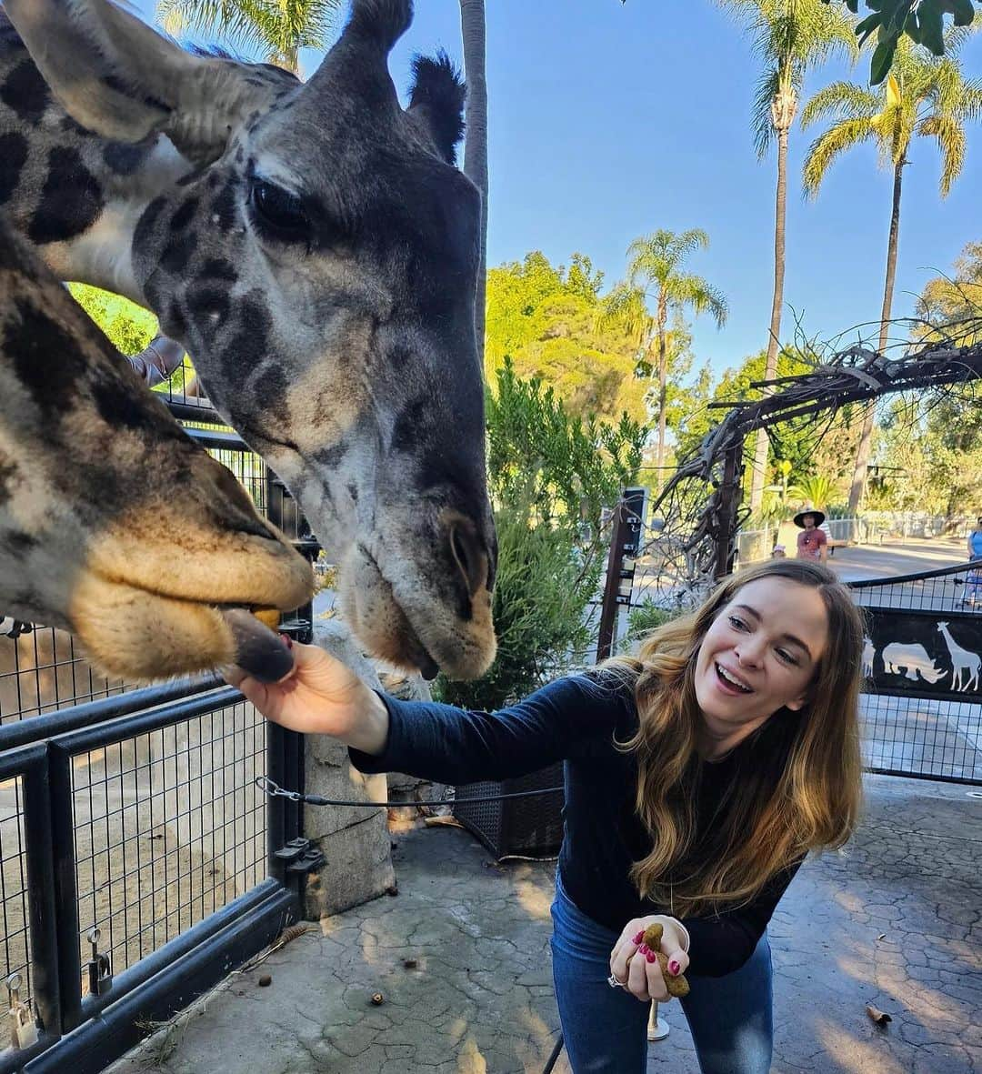 ダニエル・パナベイカーのインスタグラム：「Spent a magical day @sandiegozoo this past weekend and highly recommend a visit.🦒🦥 🐻 The nonprofit work they do to help animals get off the endangered species list and back into the wild is remarkable. I was so taken by the passion of everyone who worked there and can’t wait to go back! #SanDiegoZoo」