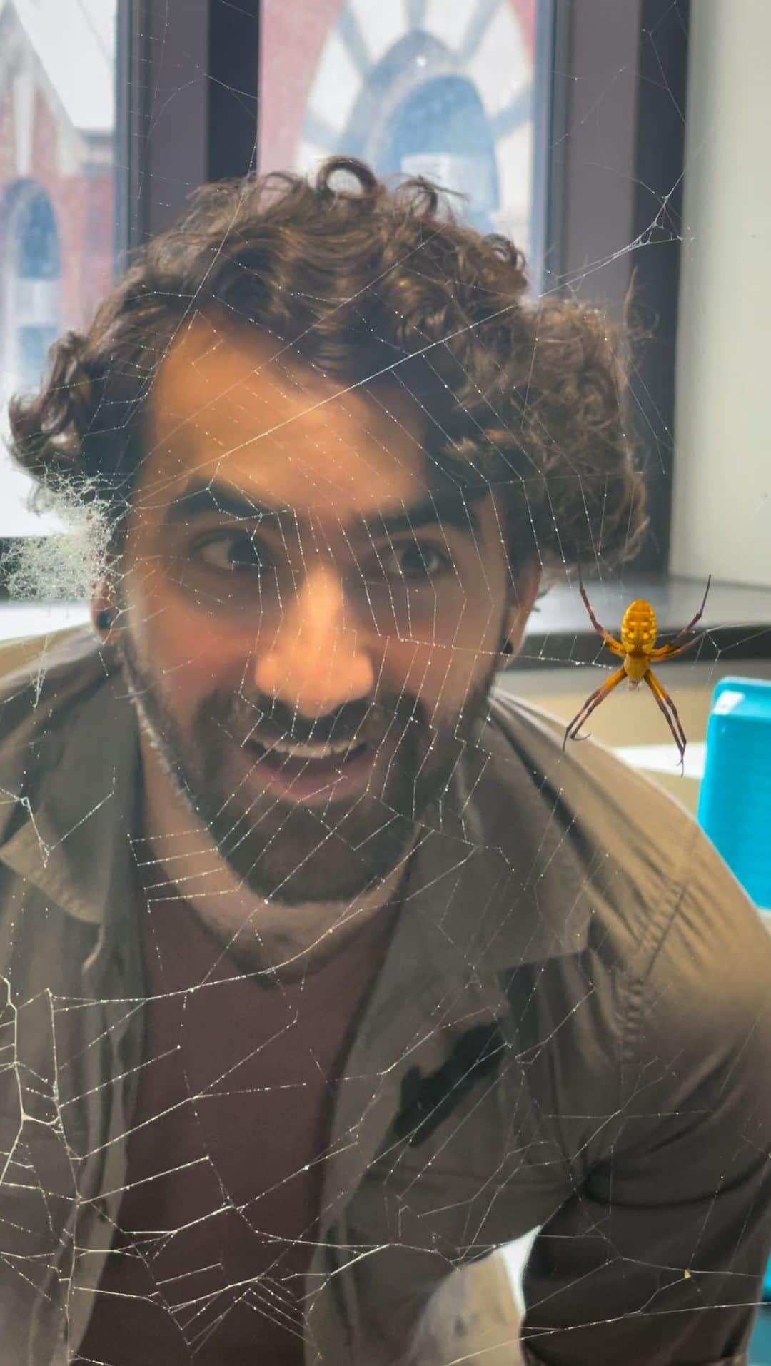 アメリカ自然史博物館のインスタグラム：「🕷️Meet Joe Arguelles (@notstephcooper), a comparative biology Ph.D. student in the Museum’s Richard Gilder Graduate School. His research focuses on understanding the molecular drivers of the incredible mechanical properties of spider silks.  🕸️He also studies the evolution of “prey capture systems” (silk, venom, and vision) in active hunting spiders, and how these genes have changed in response to the loss of web-spinning behavior.   #spidersilk #STEM #arachnology #amnh #research #museums #spiders」