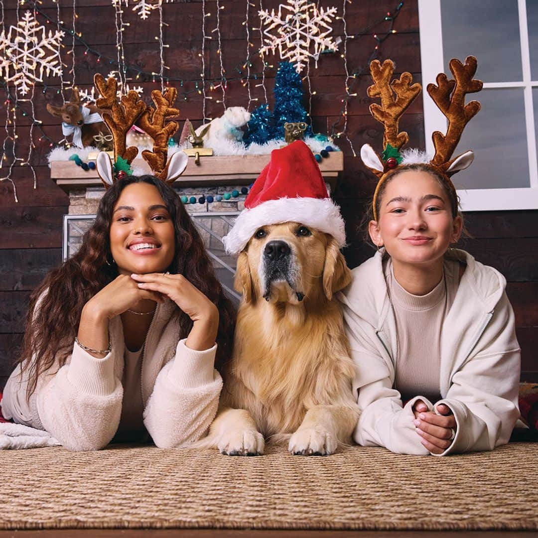 エアロポステールのインスタグラム：「Spreadin’ the doggon holiday cheer 🐶 #WearAero」