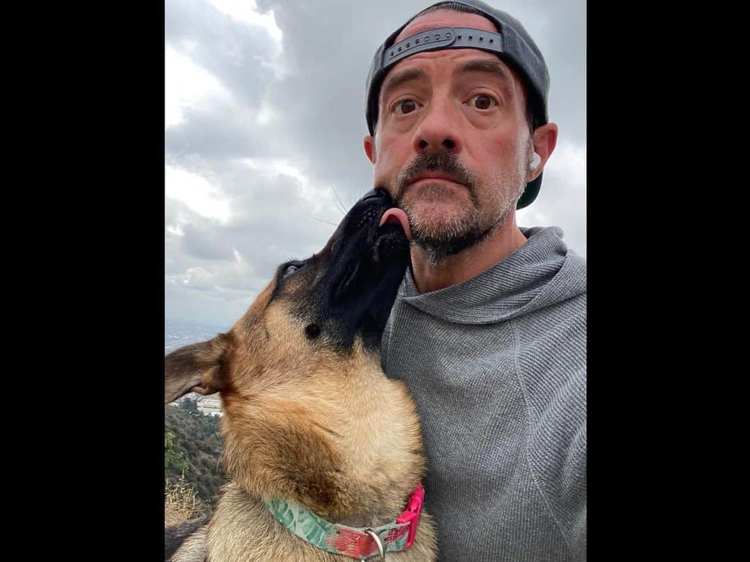 ケヴィン・スミスさんのインスタグラム写真 - (ケヴィン・スミスInstagram)「Birdie offers her unique brand of encouragement for a @runyoncanyon hike. #KevinSmith #dogsofinstagram #germanshepherd」10月26日 6時41分 - thatkevinsmith