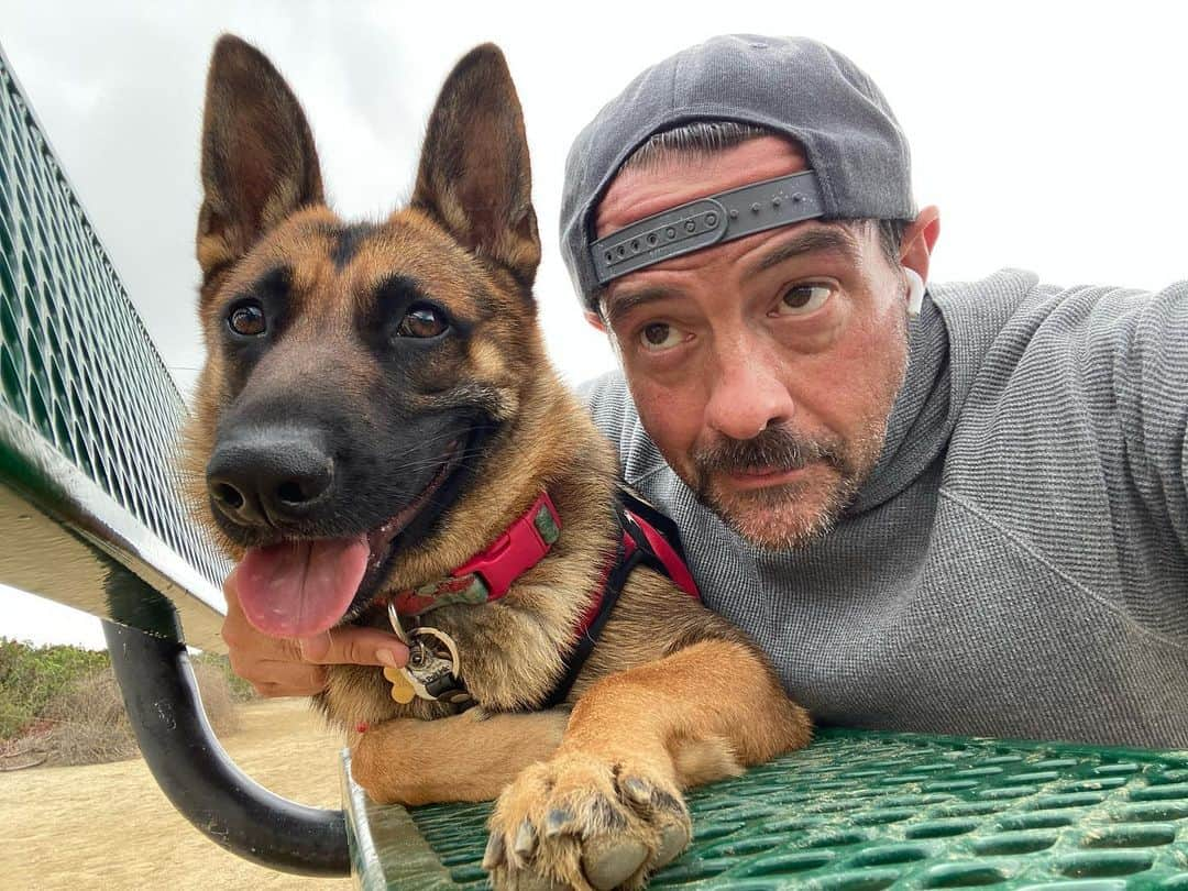 ケヴィン・スミスのインスタグラム：「Birdie offers her unique brand of encouragement for a @runyoncanyon hike. #KevinSmith #dogsofinstagram #germanshepherd」