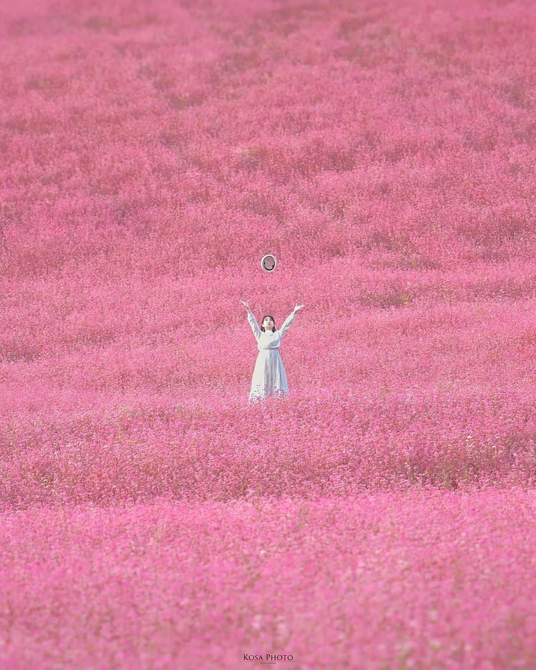 コサさんのインスタグラム写真 - (コサInstagram)「画角全部が赤そばで、そしてぽつんで撮れる幸せ❣️ めっちゃテンション上がりました😍  平日は現像地獄に陥ってます…😇 どれだけ頑張って現像しても週末で更に加算…😱 そして、1日3投稿ぐらいしないと埋もれそうな気がする . Location:長野 Nagano /Japan🇯🇵 Date:2023年10月 in frame: @chami_2nd Camera:Z9 / Z 70-200mm f2.8 . #赤そばの里 #赤そば #tanddフォトコンテスト2023 #ワクワク #nikoncreators #nikoncreators_2023morningandnight #Japan_Daytime_View #jp_portrait_collection #ポトレファン倶楽部 #ポトレ撮影隊 #raw_japan #jp_mood #mf_landscape #invisible_cool_part #pixlib_jp #じゃびふる #m_v_shotz #deaf_b_j_  #bestjapanpics #Lovers_Nippon #tokyocameraclub #art_of_japan_ #jgrv_member #team_jp_ #photo_jpn #sorakataphoto #LBJ_KING #mst_vip #広がり同盟メンバー #special_spot_legend」10月26日 7時03分 - kosa_photo