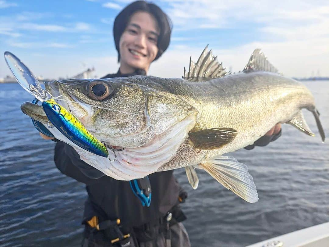 外山将平さんのインスタグラム写真 - (外山将平Instagram)「このシーズンはビッグベイトも楽しいけれど　　　　　　　　　　　　　　　　 デイゲームの穴撃ちも､サイトでバイト丸見え。どんどん撃ち込んで次から次へと魚を引っ張り出すストラクチャーの釣りも凄く楽しいです🐟 クミホンディープが活躍します🎣  【TACKLE DATA】 ROD：JESTER JSC-66TL-P+(Jackson) REEL：20TATULA SV TW 103XHL(DAIWA) LINE：PEライン1.5号  LEADER：25lb　　　　　　　　　　　　　　　　 　　　　　　　　　　 　　　　　　　　　 #BlueBlue #アングラーズマイスター　　　　　　　　　　　　　　　　　　　　　　　　　　　　　　　 #クミホンディープ　　　　　　　　　　　　　　　　　　　　　　　　　　　　 #ブルーブルー　　　　　　　　　　　　　　　　　 #钓鱼 #每日穿搭 #시바스 #농어　　　　　　　　　 　　　　　　　　　　　　　　　　　　　 　　　　　　　　　　　　　　　　　　　　　　　　　　　　　　　　　　　　　　　　　　　  ◆釣りにかかわらず､出たゴミは持ち帰りましょう！ 一人一人の意識で自然は守れます。 釣り場､自然を大切に🐟　　　　　　　　　　　　　　　　  ◆キャスト時は必ず後方確認をして ルアーや針が歩行者､同行者に当たらないようにしましょう。　　　　 　　　　　　　　　　　　　　　　　　　　　　　　　　　　　　 ◆釣り際はライフジャケット着用をお願い致します。※釣り物によって異なります。　　　　　　　 命を守りましょう！　　　　　　　　　　　　 　　　　　　　　　　　　　　　　　　　　　 ◆YouTube⇩(始めました！チャンネル登録お願いします！) https://youtube.com/channel/UC07x3DbJCNv_gAFvAjaWQMQ　　　　　　　 　　　　　　　　　　　　　　　　　　　　　  ◆アングラーズ↓🎣 外山将平 https://anglers.jp/users/530231 こちらもチェックお願い致します🐟　　　　　　　  ◆Twitter↓ https://mobile.twitter.com/syohei_1108 こちらもフォロー宜しくお願い致します！🙇‍♂　　　　　 　　　　　　　　　　　　　　　　　　　　　　　　　　　　　　　　　　　　　　　　　　　　　　　　　　　　　　　　　　　　　　　　　　 　　　　　　　　　　　　　　　　　　　　　　　　　　　　 #今日の外山 #俳優 #外山将平  #釣り好きな人と繋がりたい #釣りスタグラム #シーバス #東京湾奥 #釣りの成長記録 #釣りで人生を豊かに  #fishing #lure #bass #fish #fishinglife #bigfish  #instafish 　　　　　　　　　　　　　　　　　　 #bassfishing #seabass」10月26日 7時05分 - syohei_toyama