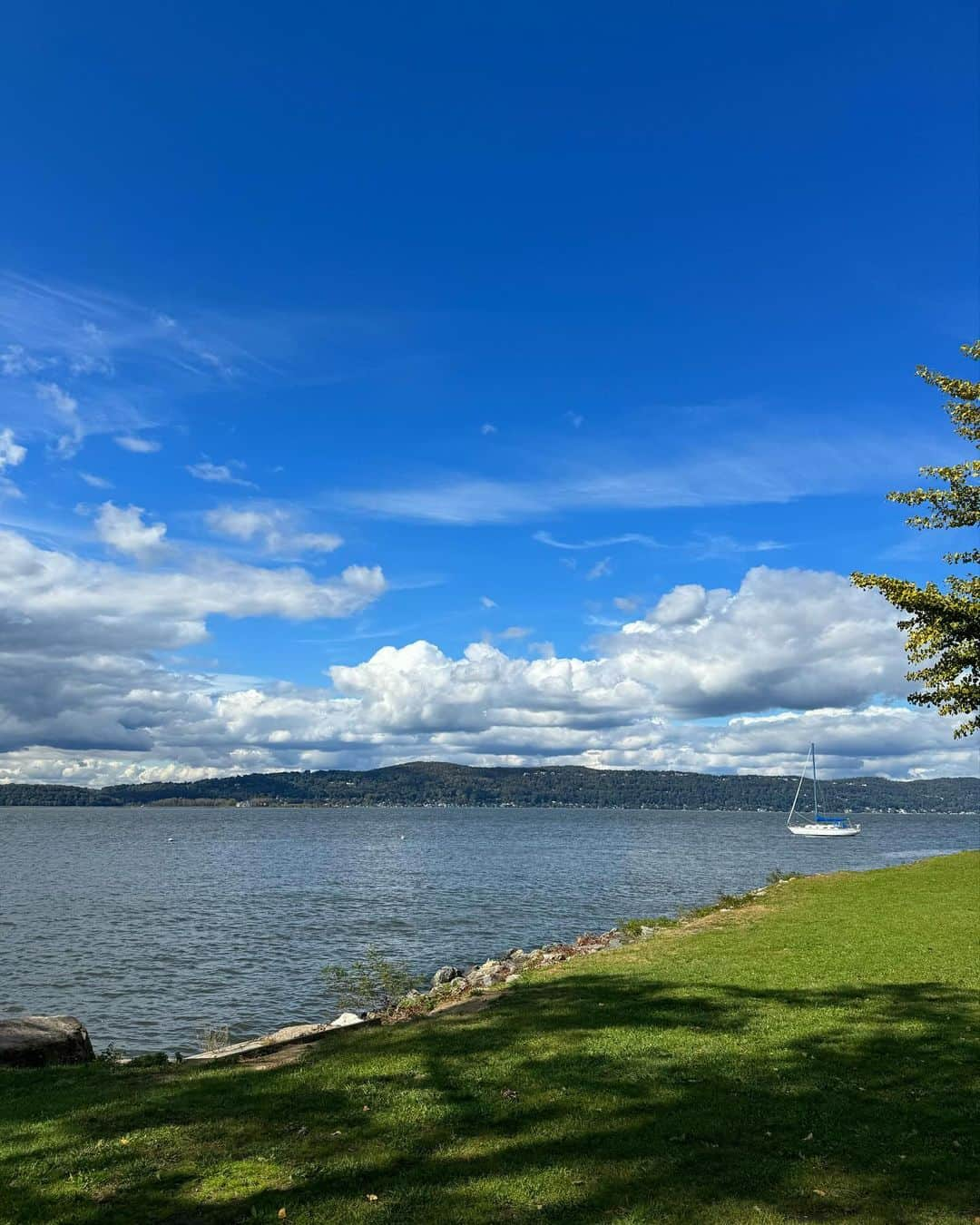 岡田育のインスタグラム：「By the Hudson River. 🍁🚞 . I’ve been so down to hear about our sudden loss of Atsushi Sakurai the great singer/lyricist of Japan. I’m still not able to read the details or even say RIP thing out of my mouth, but let us keep on the parade he‘d led. . 突然の訃報に心乱され胸を痛めつつも、そんなこと書いてハッシュタグ経由でlikeを稼いで何になるとの想いもあり、日本語メディアから離れて暮らせる有難味を噛み締めつつ、まぁみんなハドソン川沿いの紅葉でも見て気を落ち着けてくれよな、とBGMにガタガタ＆ゴタゴト「Go-Go B-T Train」を選ぼうと思ったが、いや、今の気分はどう考えても「恋」ですね。去年の35周年千葉が最後。今年も観に行くつもりだった。あのBUCK-TICKが五人揃わない、櫻井敦司を喪った世界、まだ想像がつかない。2023年は著名人も友人もその両方である人たちもどんどん旅立ってしまう。」