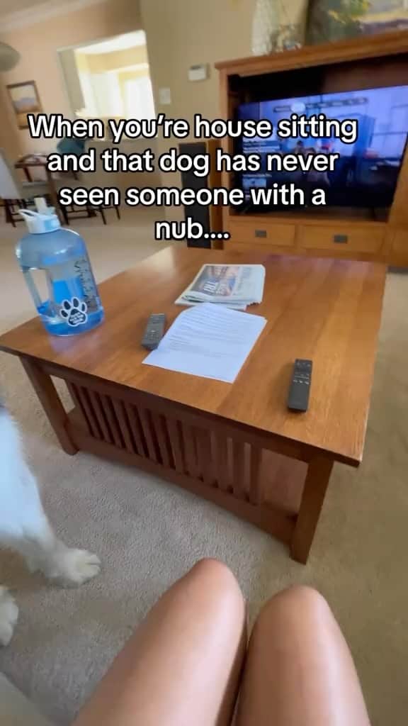 BarkBoxのインスタグラム：「this is a very specific problem to have   @leahkaplann」