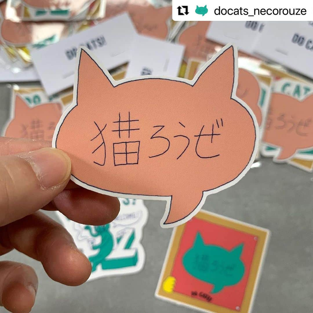 nocotoさんのインスタグラム写真 - (nocotoInstagram)「ありがとうございました！！ 皆さまに感謝をこめて。  #Repost @docats_necorouze with @use.repost ・・・ 🐈🐈🐈 皆さまへのお礼と寄付のご報告  去る9/23,24に開催したイベント「DO CATS! vol.1」では、たくさんの方にご来場いただき誠にありがとうございました！ 皆さまにお買い物していただきました売り上げ金の一部を、保護猫・保護犬団体へ寄付させていただきましたので、ここにご報告させていただきます。  ①アニマルドネーション: 　多頭飼育崩壊の緊急支援基金:¥50,000 　アニドネ指定の保護団体:¥18,200 ②サンチャコ:¥13,751 ③おへそのねこ:¥50,000 ④野良猫たすけ隊:¥7,900  合計¥139,851 (振り込みはブランド毎に行いました)  今後もDO CATS!では、ネコ好きさんたちに楽しんでもらいたいというコンセプトのもと『#ネコろうぜ』をスローガンにネコのためにできる事を楽しんでやっていきたいと思っております。  また皆さまにお会いきる日を心から楽しみにしております(^-^)/ このたびは、どうもありがとうございました！  DO CATS!一同  ＊イベントで製作したアイテムのネット販売を @nocoto_store の方で始めました。ご興味のある方は是非ご覧になってみてください。  #ネコろうぜ #猫ろうぜ #docats #catindahouse #necology #weekendcats #ichigoichie  @oheso.no.neko2021 @nocoto_store @catindahouse_kuromame @n_ecology_ @weekend_cats @ichigoichie_nigaoe @happynoon_jp  《special thanks》 @gekkan_nekoshinbun」10月26日 8時21分 - nocoto_store