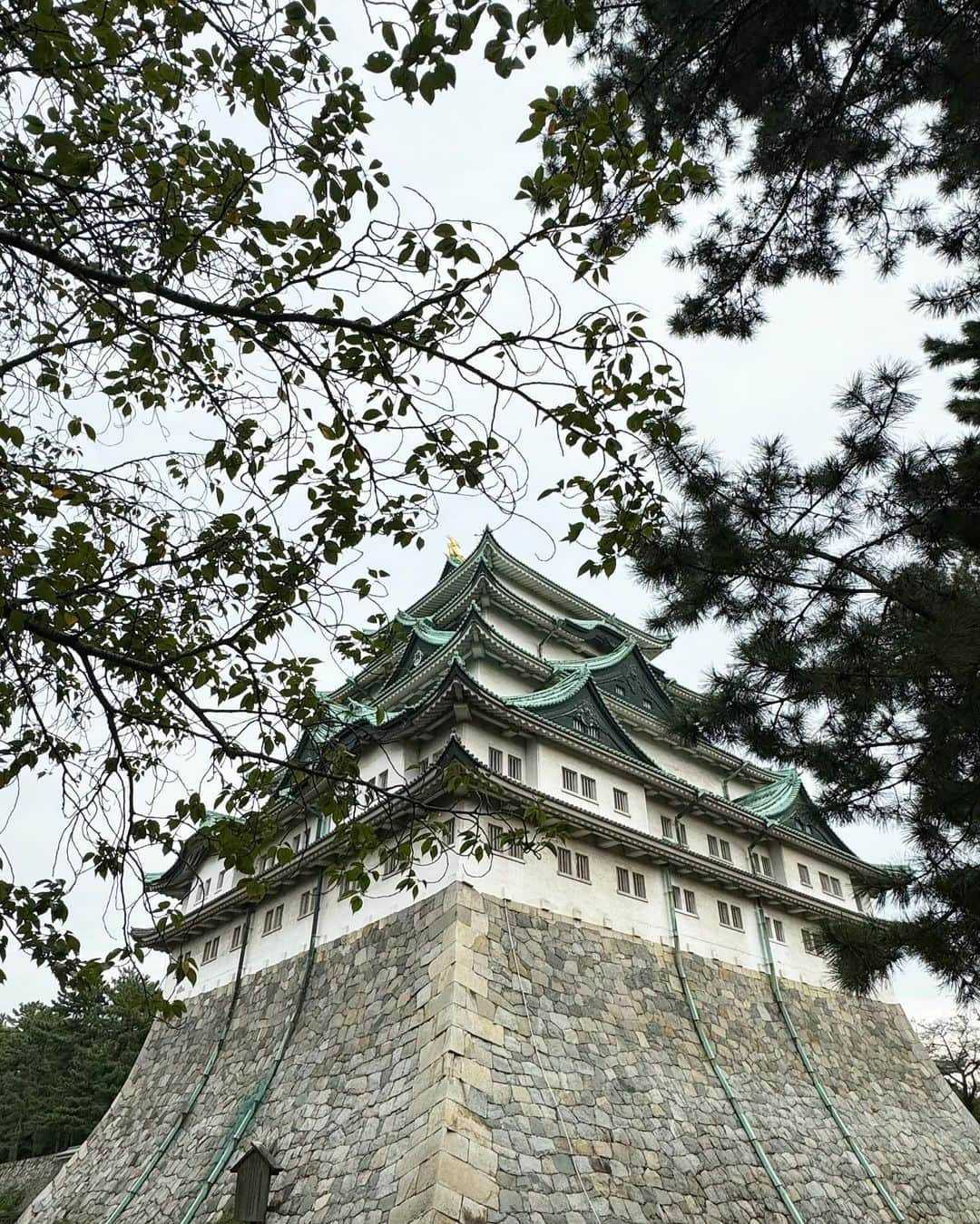 宮田綾子さんのインスタグラム写真 - (宮田綾子Instagram)「🏯ただいま名古屋🏯名古屋城は久しぶり 子供の頃から近くで見て育っているのでお城の景色は落ち着きます👘 敷地内の金チャチ横丁で名古屋コーチン親子味噌煮込みうどんも食べて満足じゃ🥢  ひとつ前の投稿2枚目で帽子姿のアップがあるから見てみてね @ayako__miyata 👈  ストーリーズにも書きましたが、私の写真を使った偽物アカウントなりすましが過去一で多いです⚠️ フォローしたりしないよう通報してください、くれぐれもDMに返信したりしないよう気をつけてくださいね！ @ayako__miyata 青いチェックマーク✔︎が付いているアカウントのみです！  ❤️ @ayako__miyata ←23万フォロワーありがとう❤️  #名古屋城 #名古屋グルメ #名古屋観光 #名古屋駅グルメ #名古屋旅行 #金シャチ横丁 #名古屋めし #名古屋メシ」10月26日 8時35分 - ayako__miyata