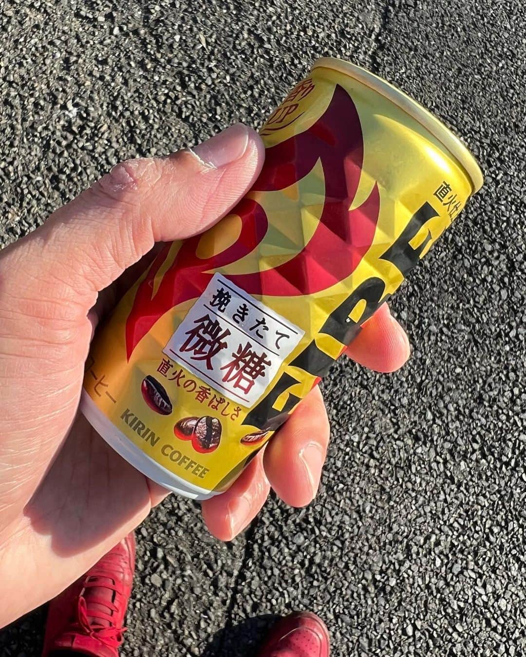 靖乃のインスタグラム：「気持ちの良い秋晴れ☀️ 本日も一日ゆっくり頑張りましょ‼️  #靖乃 #ハイダンシークドロシー #淡路島 #ピン毛」