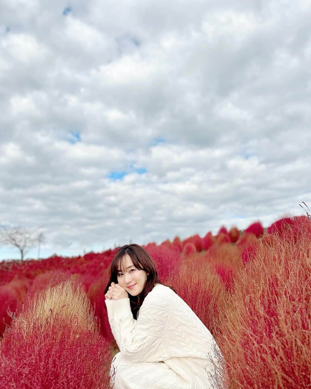 村上麻衣さんのインスタグラム写真 - (村上麻衣Instagram)「🤎❤️コキア❤️🤎  「モコモコでトゲトゲで赤くて丸い木みたいなの」 と私が説明して、 わかってくれた人いました🤭  春の色鮮やかなお花畑はもちろん素敵だけど、 秋の燃えるような紅も、美しいですね。  #コキア#秋 #秋の風景 #秋の空 #秋だね #コキアの紅葉 #綺麗 #美しい#autumn #Japan#beautiful #nature #お出かけ #日帰り旅行#自然」10月26日 18時24分 - maimaisue