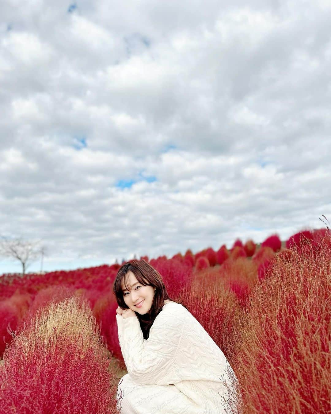 村上麻衣さんのインスタグラム写真 - (村上麻衣Instagram)「🤎❤️コキア❤️🤎  「モコモコでトゲトゲで赤くて丸い木みたいなの」 と私が説明して、 わかってくれた人いました🤭  春の色鮮やかなお花畑はもちろん素敵だけど、 秋の燃えるような紅も、美しいですね。  #コキア#秋 #秋の風景 #秋の空 #秋だね #コキアの紅葉 #綺麗 #美しい#autumn #Japan#beautiful #nature #お出かけ #日帰り旅行#自然」10月26日 18時24分 - maimaisue