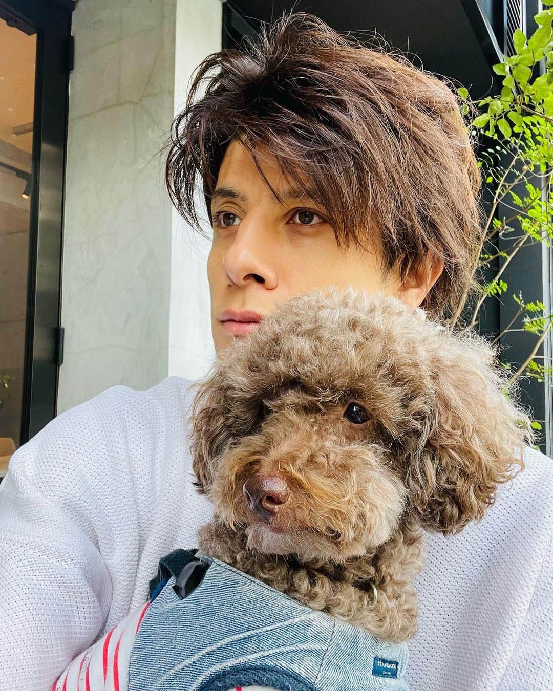 城田純のインスタグラム：「攻めてこ」