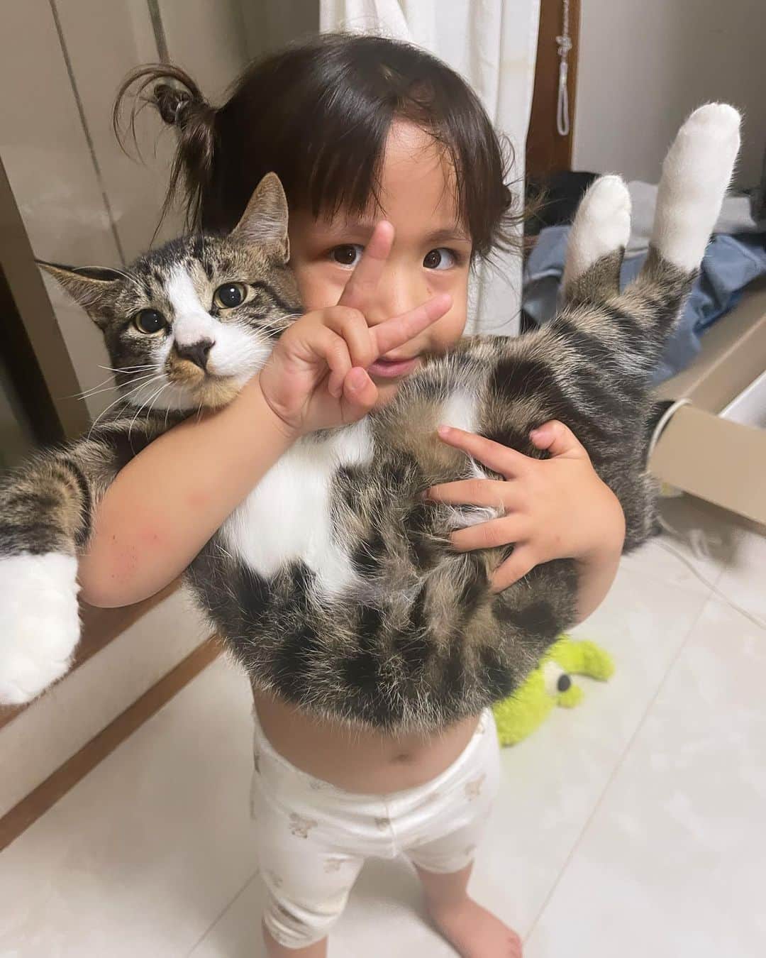 あきるなのインスタグラム：「シップは唯一るりあにだけ懐いてるんです🐈 . . . #ねこ #ねこすたぐらむ #猫 #ねこのいる生活 #あきるな #多頭飼い #ふわもこ部 #育児 #子供 #こどものいる暮らし #年子 #ペット #猫部 #娘 #おもしろ #cat #catlover #animal #animals #tiktok #catstagram #catsofinstagram #kids #kidsphotography #japanesegirl #selfie #akiruna」
