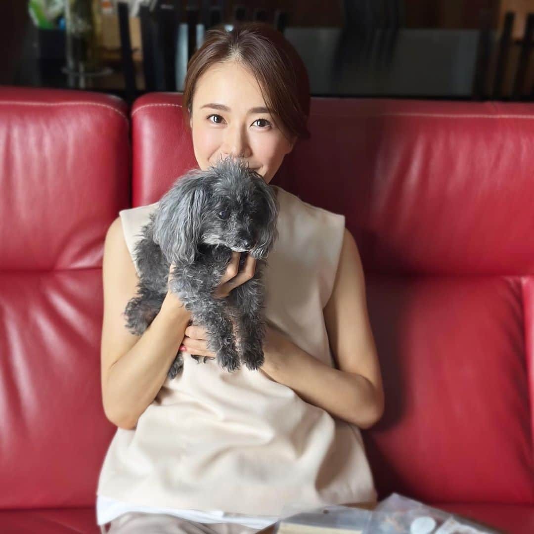 しろまっするさんのインスタグラム写真 - (しろまっするInstagram)「・ Taking care of yourself even when you don’t feel like it…..  実家だとCoco🐶のてんかん発作も少ない✨ 私よりママに懐いている賢いわんこです😂笑  Coco🐶の面倒見てくれる両親には感謝🫶🏻🤍 (私の面倒も🤣🤭笑)  #teacuppoodle #poodlegram #dogoftheday #blackpoodle  #ティーカッププードル #しろの相棒 #しろまっする」10月26日 18時35分 - shiroancoco