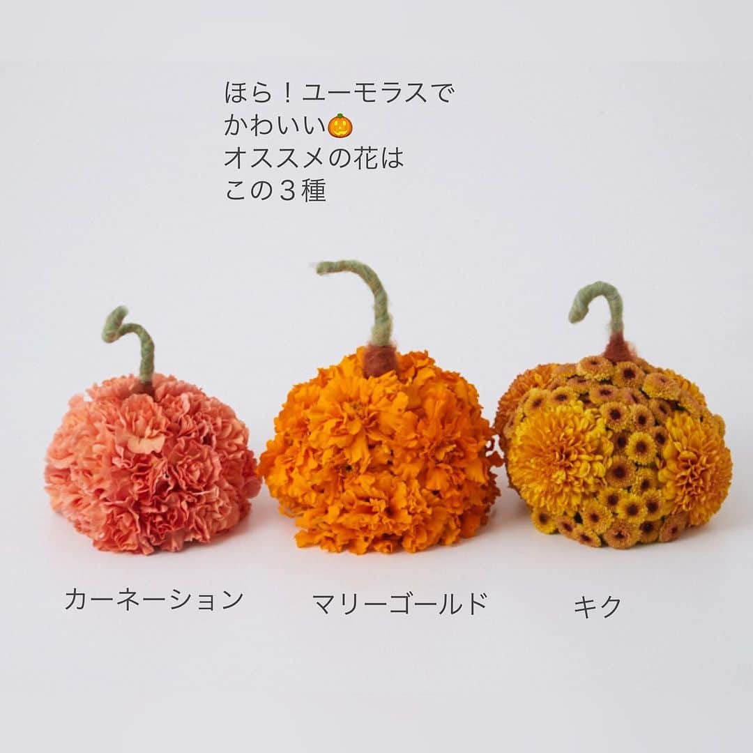 雑誌『花時間』さんのインスタグラム写真 - (雑誌『花時間』Instagram)「10月31日はハロウィン🎃ですね。手作りしするなら、花カボチャがおすすめです。  花時間（＠hanajikan_magazine）です。  発売中の花時間秋号から、ちょっとだけご紹介🎵  カボチャの丸いフォルムを作りやすいのは、キクやマリーゴールド、カーネーション、ダリアなのどの丸い形のお花。  オレンジ色の色味もさまざま揃うため、いくつも作りたいときに、バリエーションをつけやすいのが、これらのお花なんです。  個人的には、キク推し！　スプレータイプと１輪のキクを組み合わせると、模様も描けて、とっても楽しいカボチャ🎃に。  スティファで箒🧹を作るときは、穂の色はオレンジ色の濃淡でどうそ。  では、本日もお疲れさまでした🍵  明日も元気smile☺️☺️☺️で頑張りましょう！ byピーターパン  花カボチャと箒　@kaliang_flowershop  写真　@中野博安  【花時間ニュース】 💜『花時間マルシェ』発、花の定期便が大好評🥰　世界でここだけのバラと旬花が届く嬉しいサービスです💕  💜『花時間』の2024年カレンダー、大好評発売中！  💜『花時間2023秋』〈花屋さんへ行こう〉大好評発売中！  💜『花と短歌でめぐる 二十四節気 花のこよみ』大好評発売中  すべて @hanajikan_magazine のプロフィールのリンクから飛べます✈️  『花時間』本誌や書籍は全国の書店、ネット書店でも発売中✨  #花時間  #ハロウィン #halloween  #halloweencrafts  #ハロウィンの飾り  #カボチャアレンジ #フラワーアレンジ #花が好き #花が好きな人と繋がりたい  #花を飾る  #花を飾る生活 #花屋さんへ行こう」10月26日 18時57分 - hanajikan_magazine