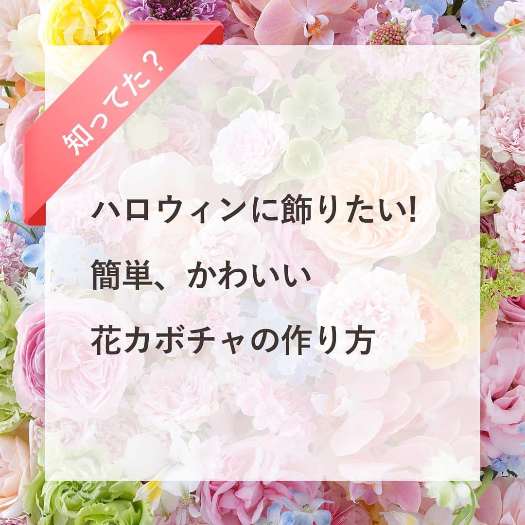 雑誌『花時間』のインスタグラム：「10月31日はハロウィン🎃ですね。手作りしするなら、花カボチャがおすすめです。  花時間（＠hanajikan_magazine）です。  発売中の花時間秋号から、ちょっとだけご紹介🎵  カボチャの丸いフォルムを作りやすいのは、キクやマリーゴールド、カーネーション、ダリアなのどの丸い形のお花。  オレンジ色の色味もさまざま揃うため、いくつも作りたいときに、バリエーションをつけやすいのが、これらのお花なんです。  個人的には、キク推し！　スプレータイプと１輪のキクを組み合わせると、模様も描けて、とっても楽しいカボチャ🎃に。  スティファで箒🧹を作るときは、穂の色はオレンジ色の濃淡でどうそ。  では、本日もお疲れさまでした🍵  明日も元気smile☺️☺️☺️で頑張りましょう！ byピーターパン  花カボチャと箒　@kaliang_flowershop  写真　@中野博安  【花時間ニュース】 💜『花時間マルシェ』発、花の定期便が大好評🥰　世界でここだけのバラと旬花が届く嬉しいサービスです💕  💜『花時間』の2024年カレンダー、大好評発売中！  💜『花時間2023秋』〈花屋さんへ行こう〉大好評発売中！  💜『花と短歌でめぐる 二十四節気 花のこよみ』大好評発売中  すべて @hanajikan_magazine のプロフィールのリンクから飛べます✈️  『花時間』本誌や書籍は全国の書店、ネット書店でも発売中✨  #花時間  #ハロウィン #halloween  #halloweencrafts  #ハロウィンの飾り  #カボチャアレンジ #フラワーアレンジ #花が好き #花が好きな人と繋がりたい  #花を飾る  #花を飾る生活 #花屋さんへ行こう」