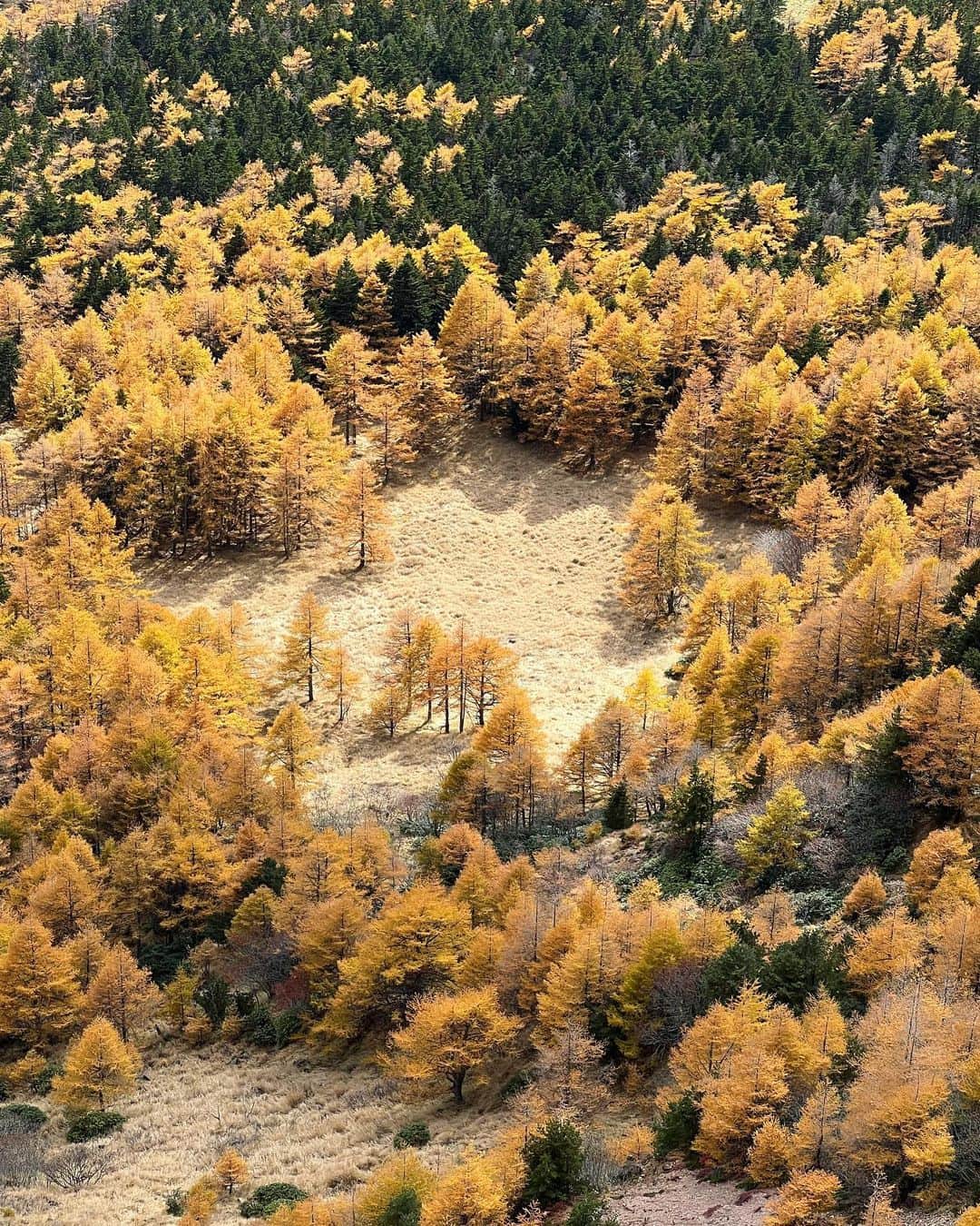 ギーセン珠理さんのインスタグラム写真 - (ギーセン珠理Instagram)「浅間山 外輪山🌋  標高/ 2400m . こんな壮大で美しい遊び場を与えてくれてありがとう 地球………🤲❤️」10月26日 19時03分 - juliegiesen